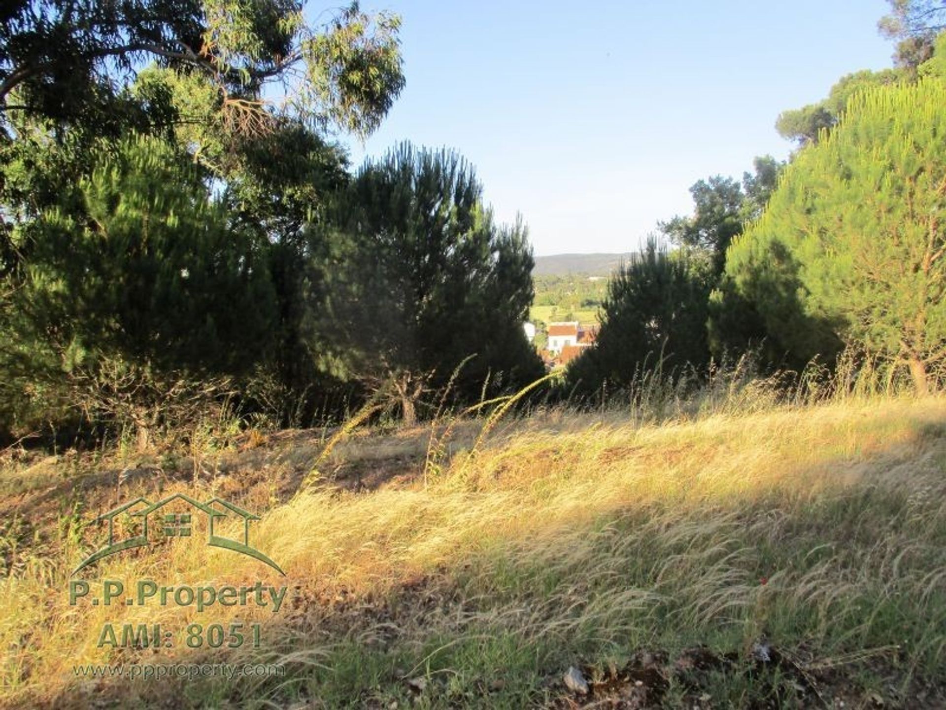 Land in Palhava, Santarem 10029252