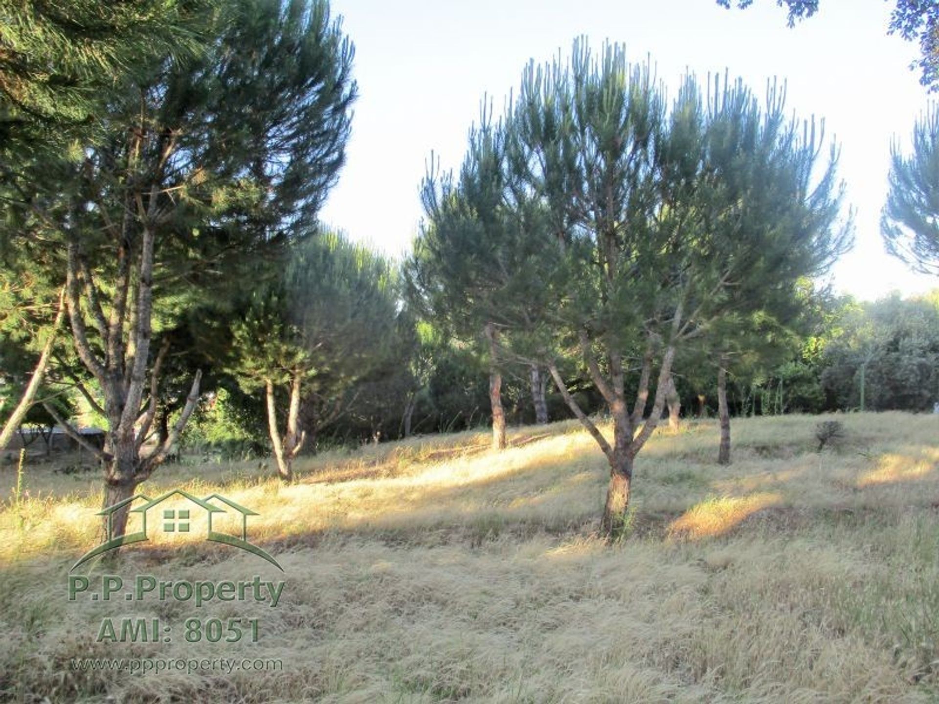 Land in Palhava, Santarem 10029252