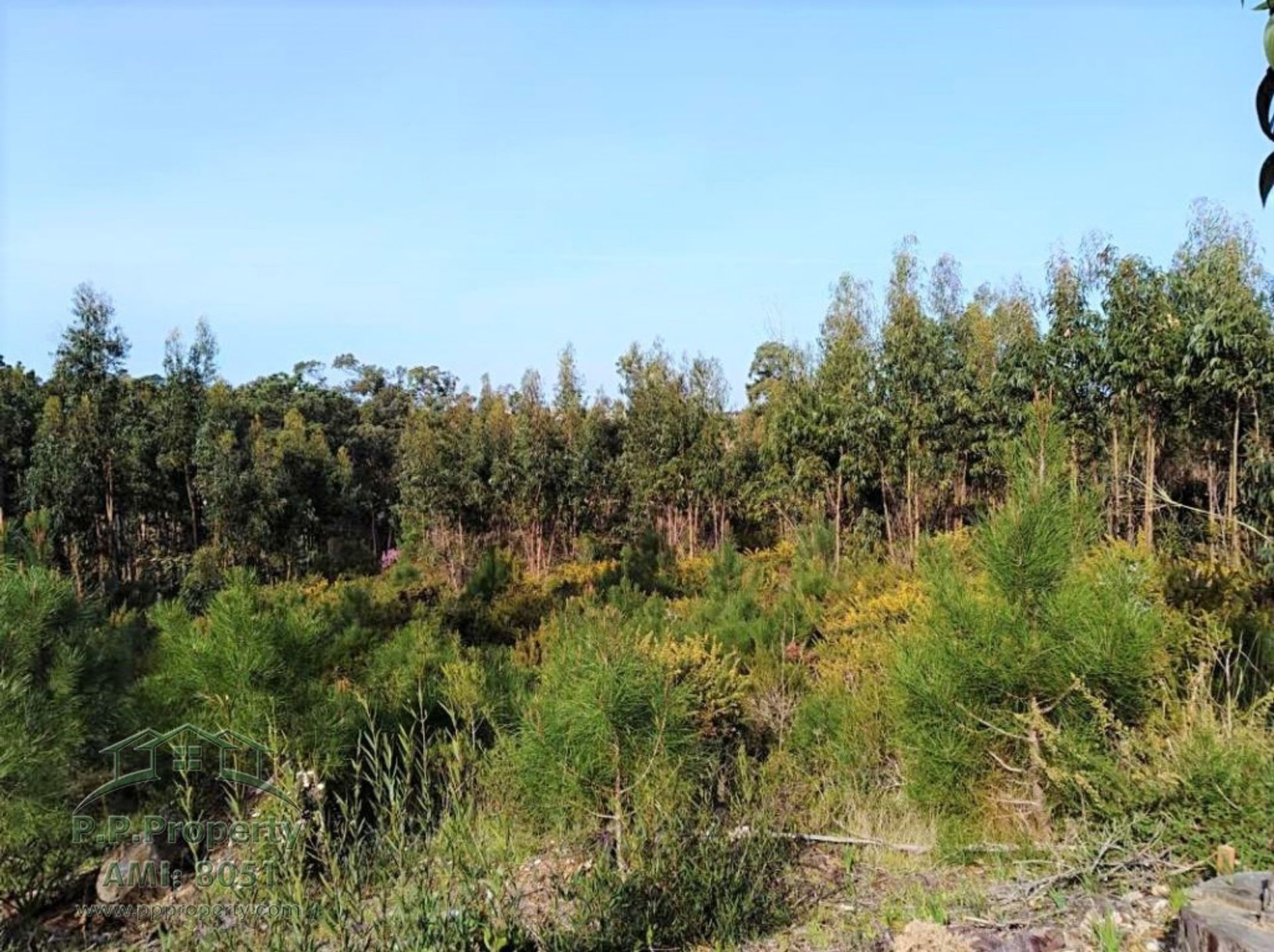 Tierra en Foz de Arelho, Leiría 10029257