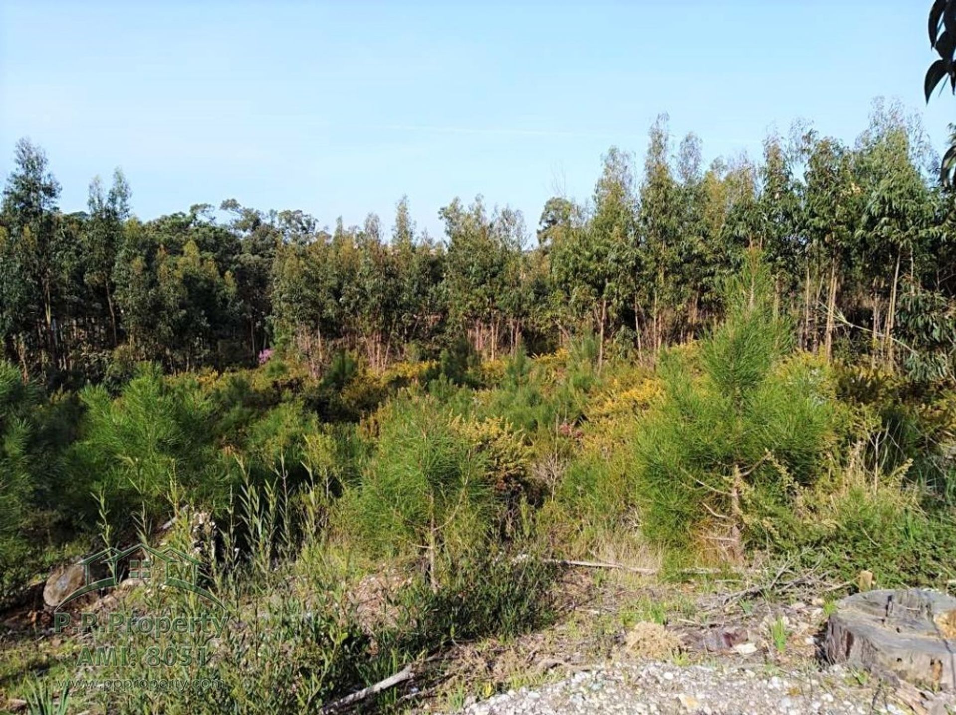 Tierra en Foz de Arelho, Leiría 10029257