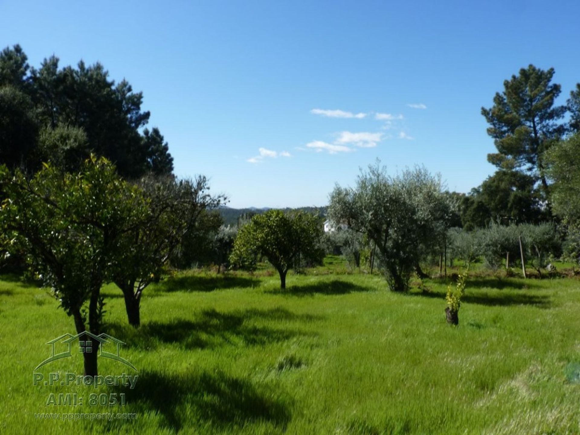 Land in Pedrogao Grande, Leiria 10029259