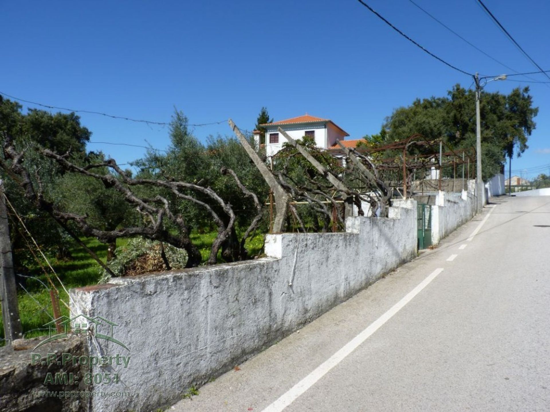 Terra no Pedrogao Grande, Leiria 10029259