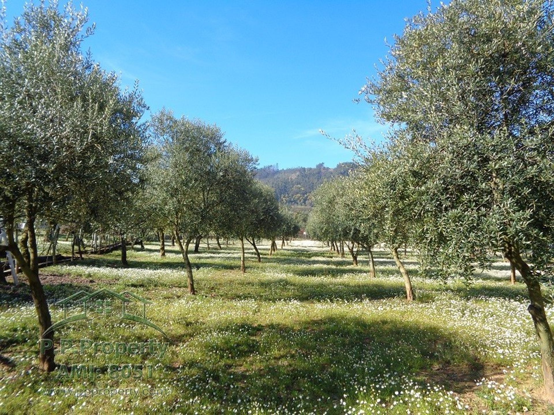 Talo sisään Alvaiazere, Leiria 10029260