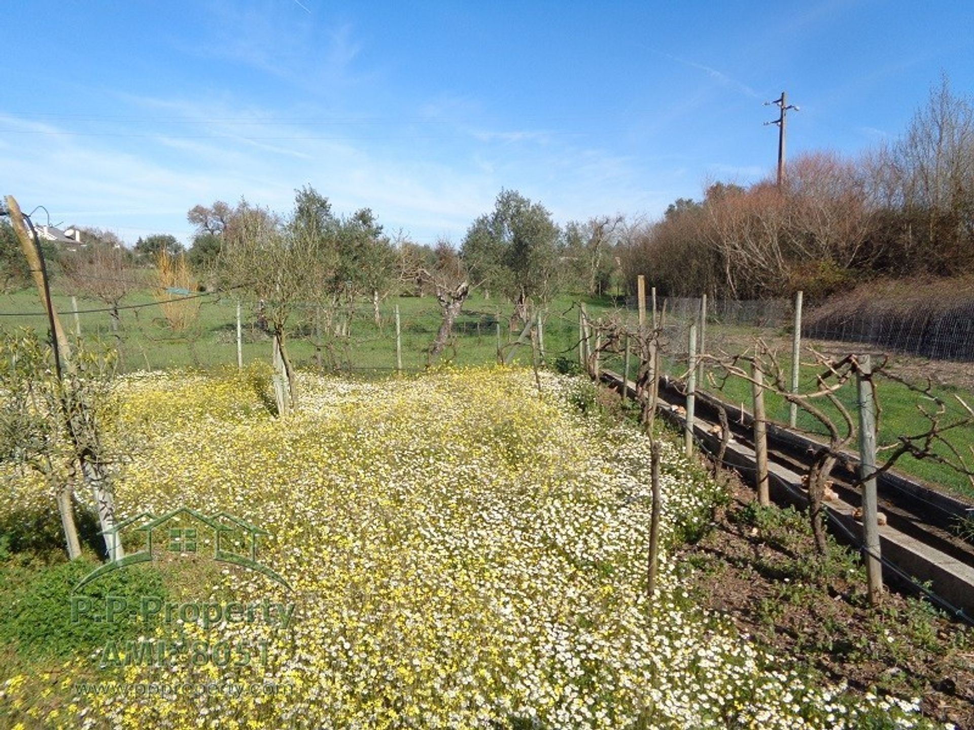 Talo sisään Alvaiazere, Leiria 10029260