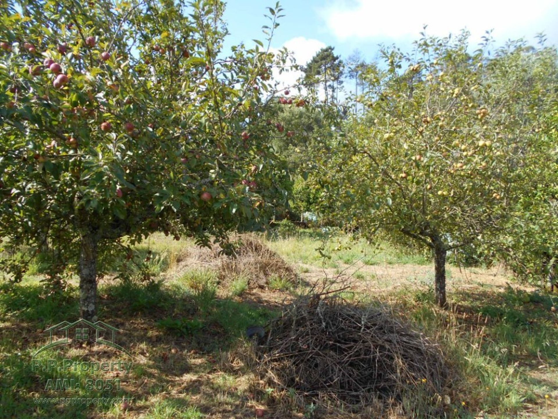 Talo sisään Alvaiazere, Leiria 10029263