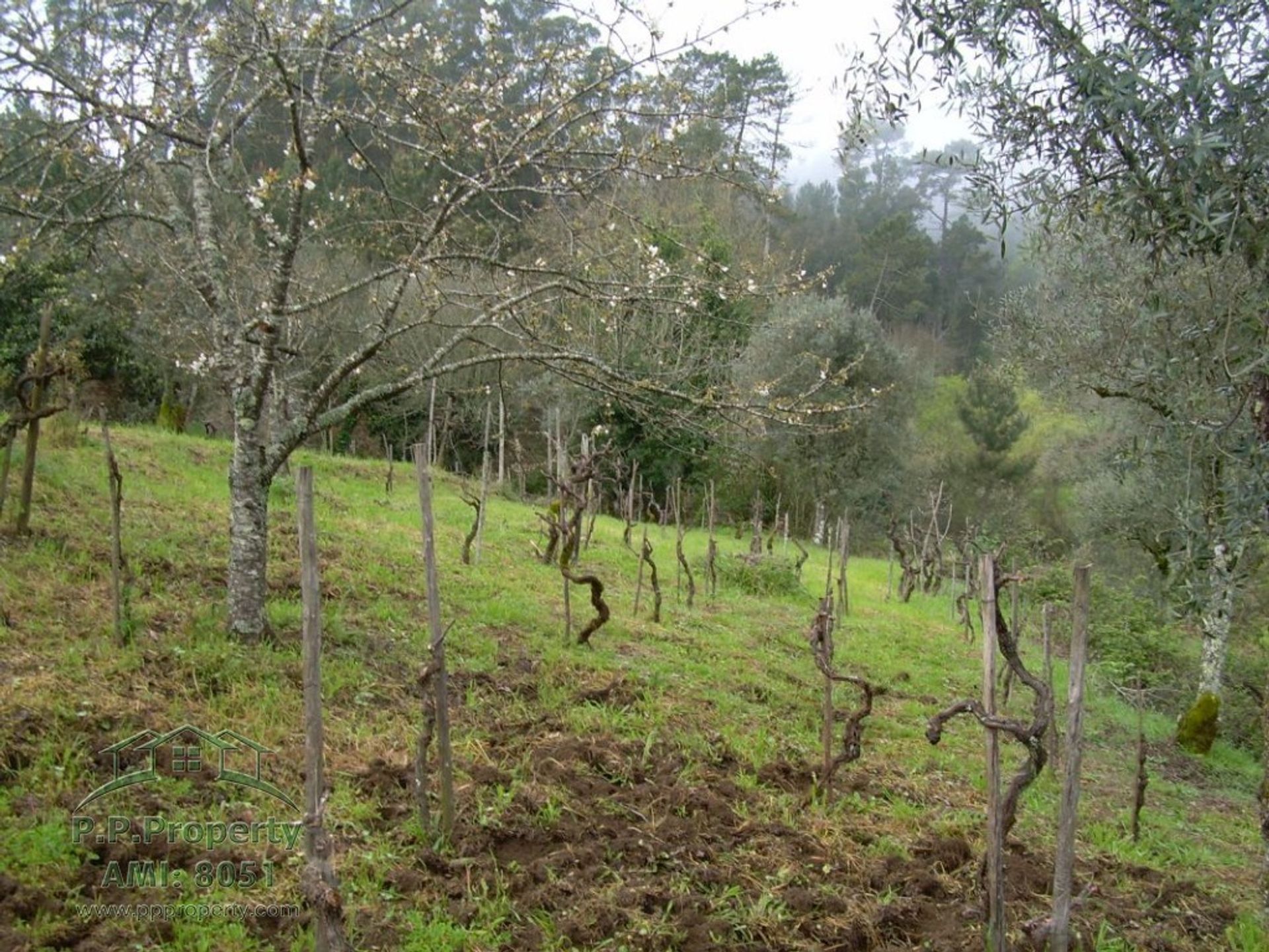 Talo sisään Alvaiazere, Leiria 10029263