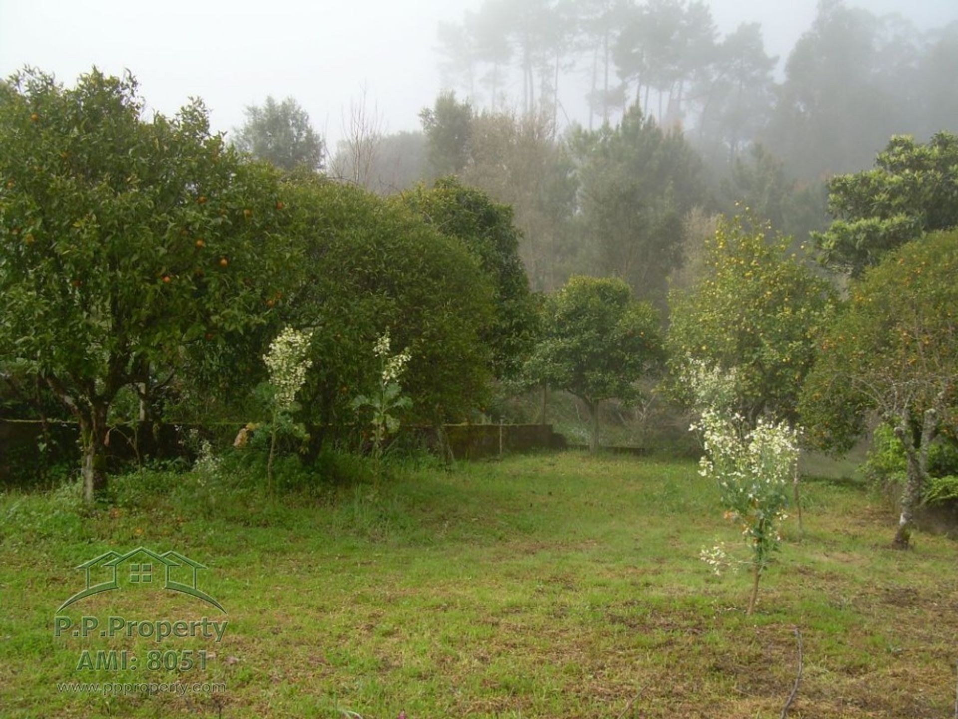 Talo sisään Alvaiazere, Leiria 10029263