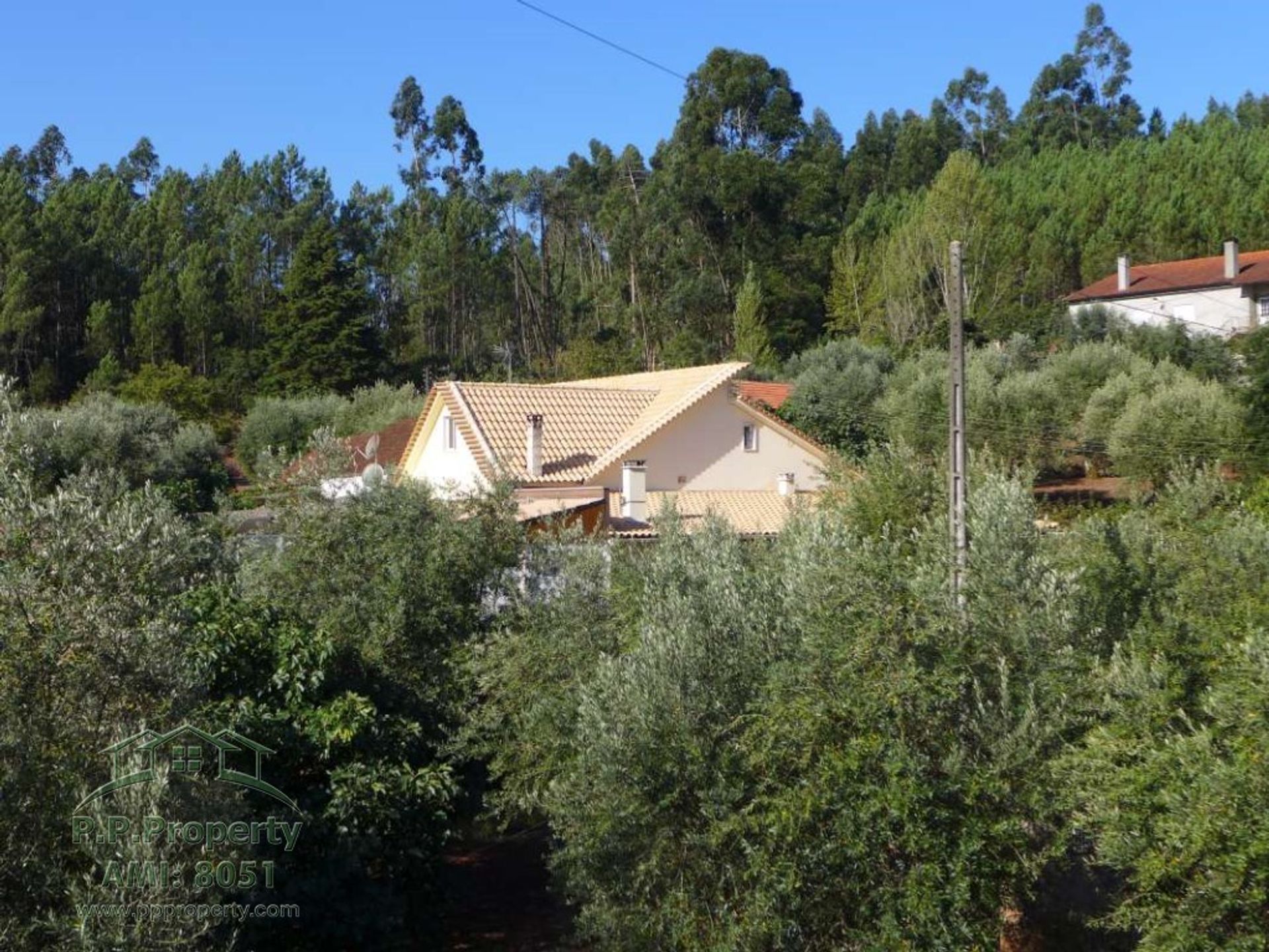 House in Alvaiazere, Leiria 10029266