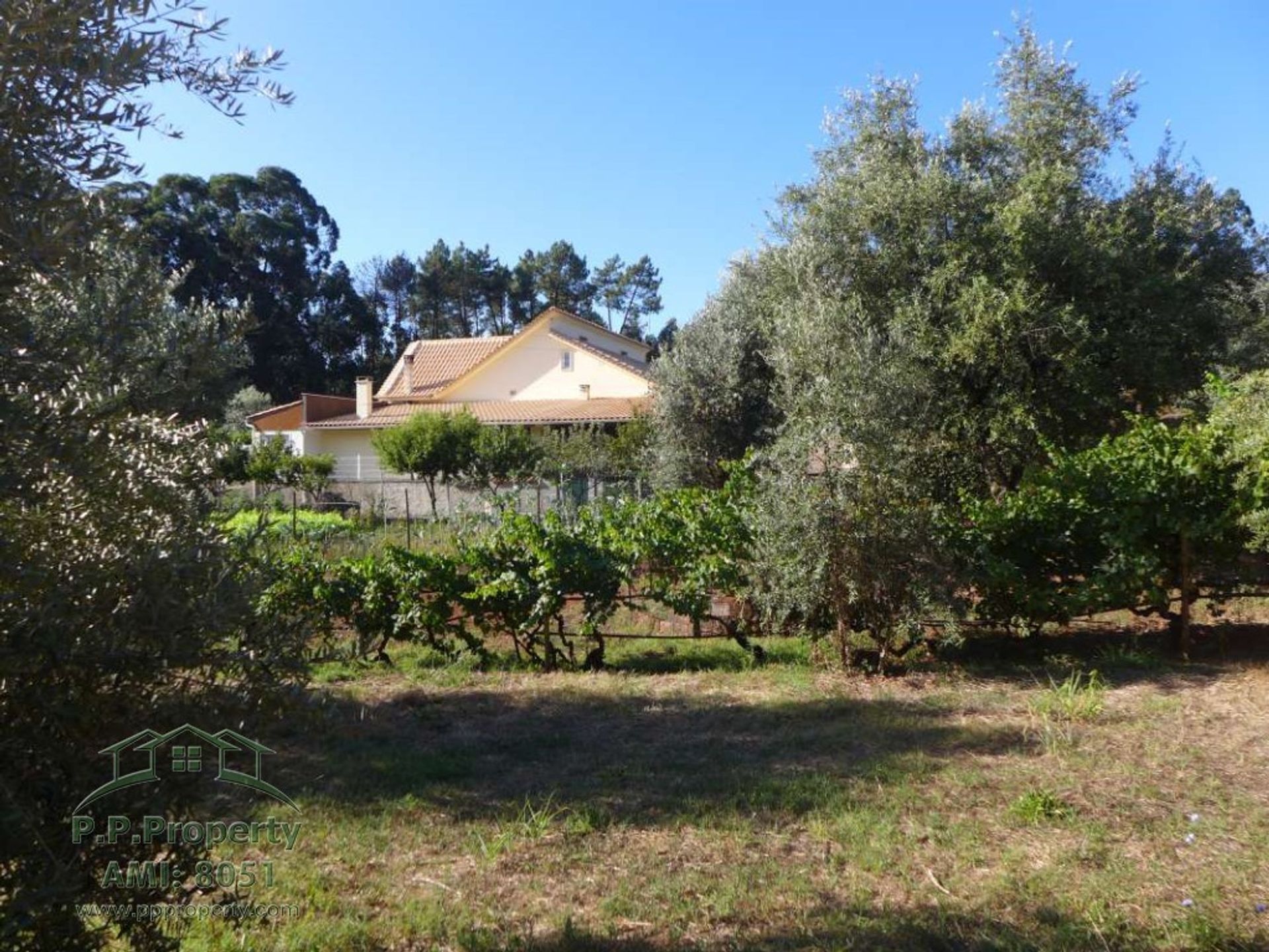 Huis in Alvaiazere, Leiria 10029266