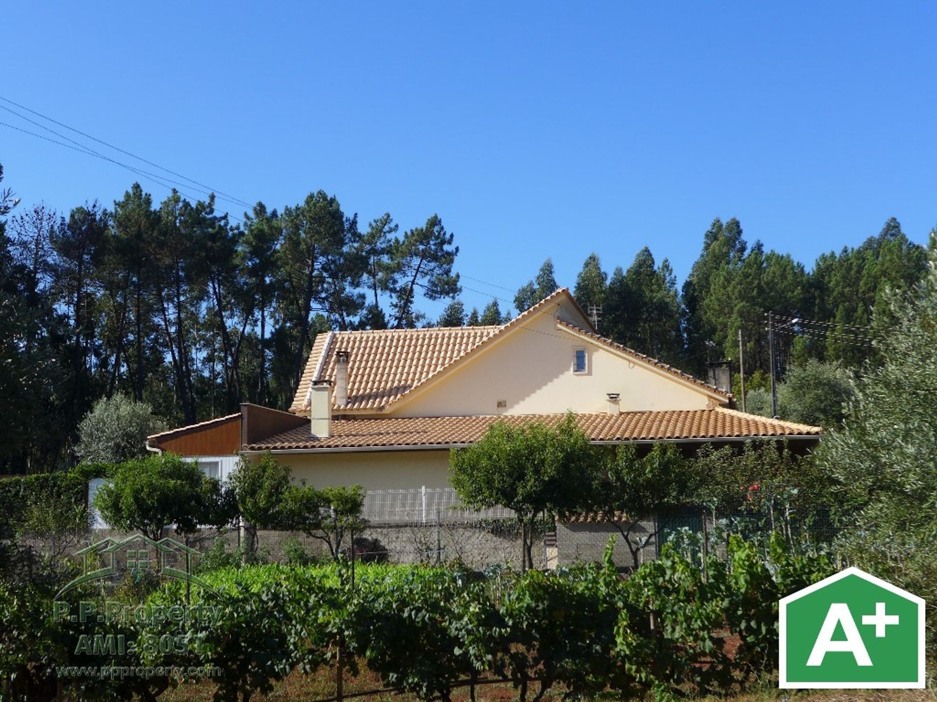 Casa nel Alvaiazere, Leiria 10029266