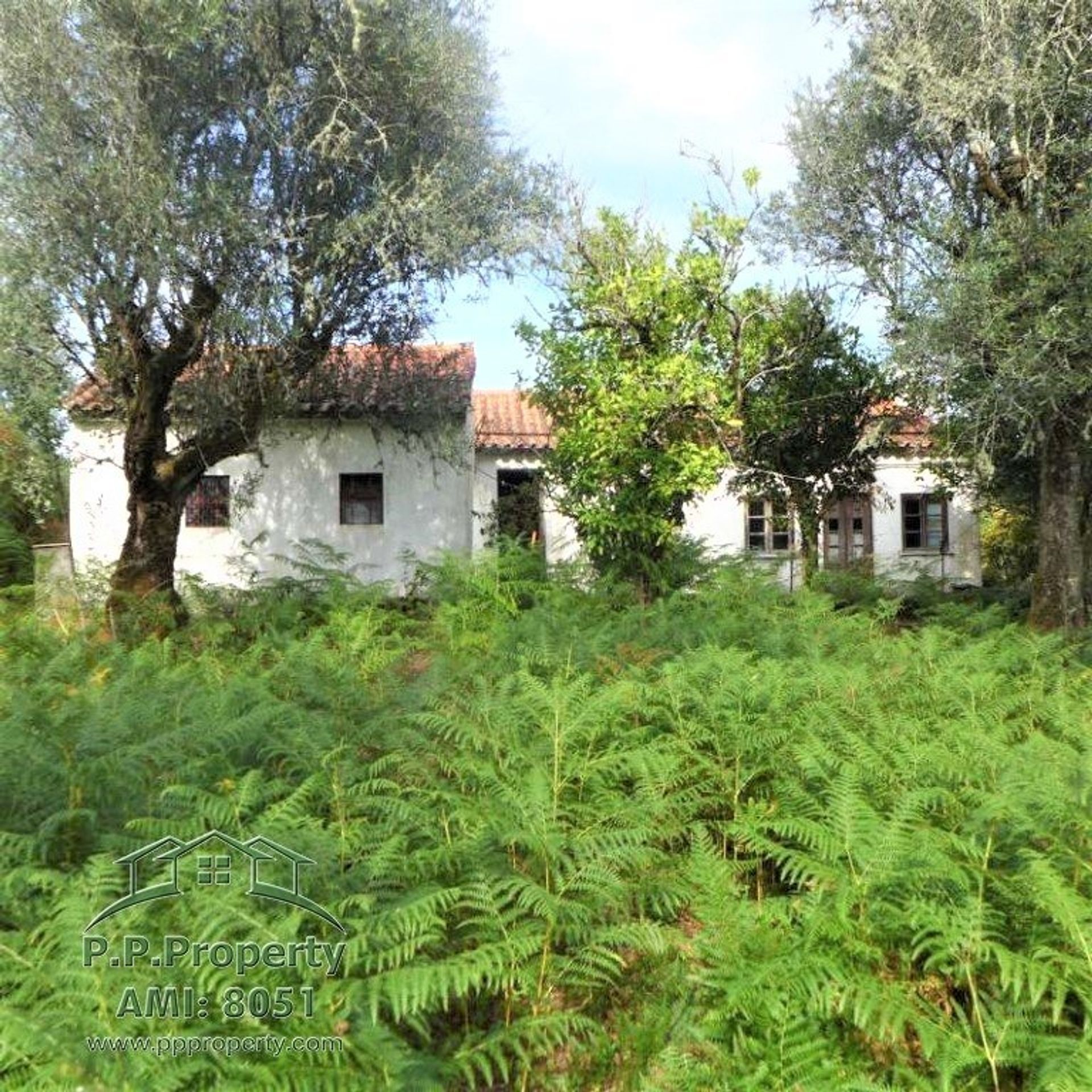 Rumah di Alvaiazere, Leiria 10029269