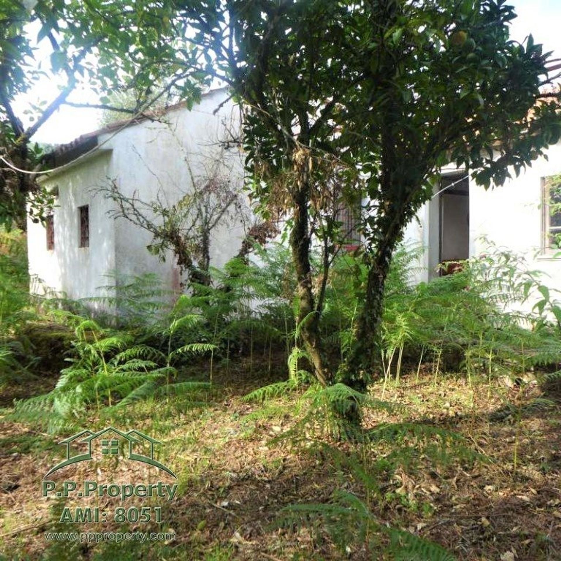 Rumah di Alvaiazere, Leiria 10029269