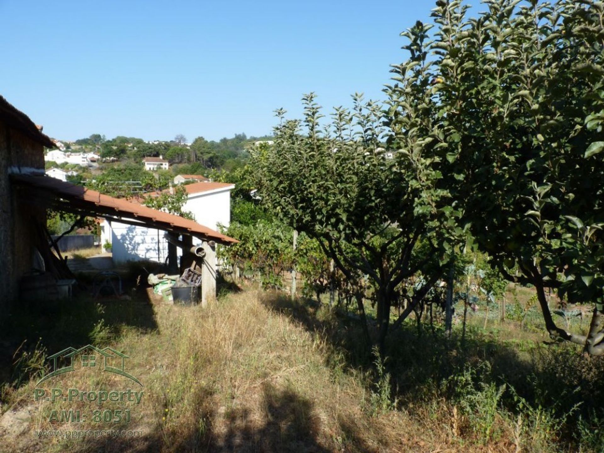 Huis in Figueiro dos Vinhos, Leiria 10029270