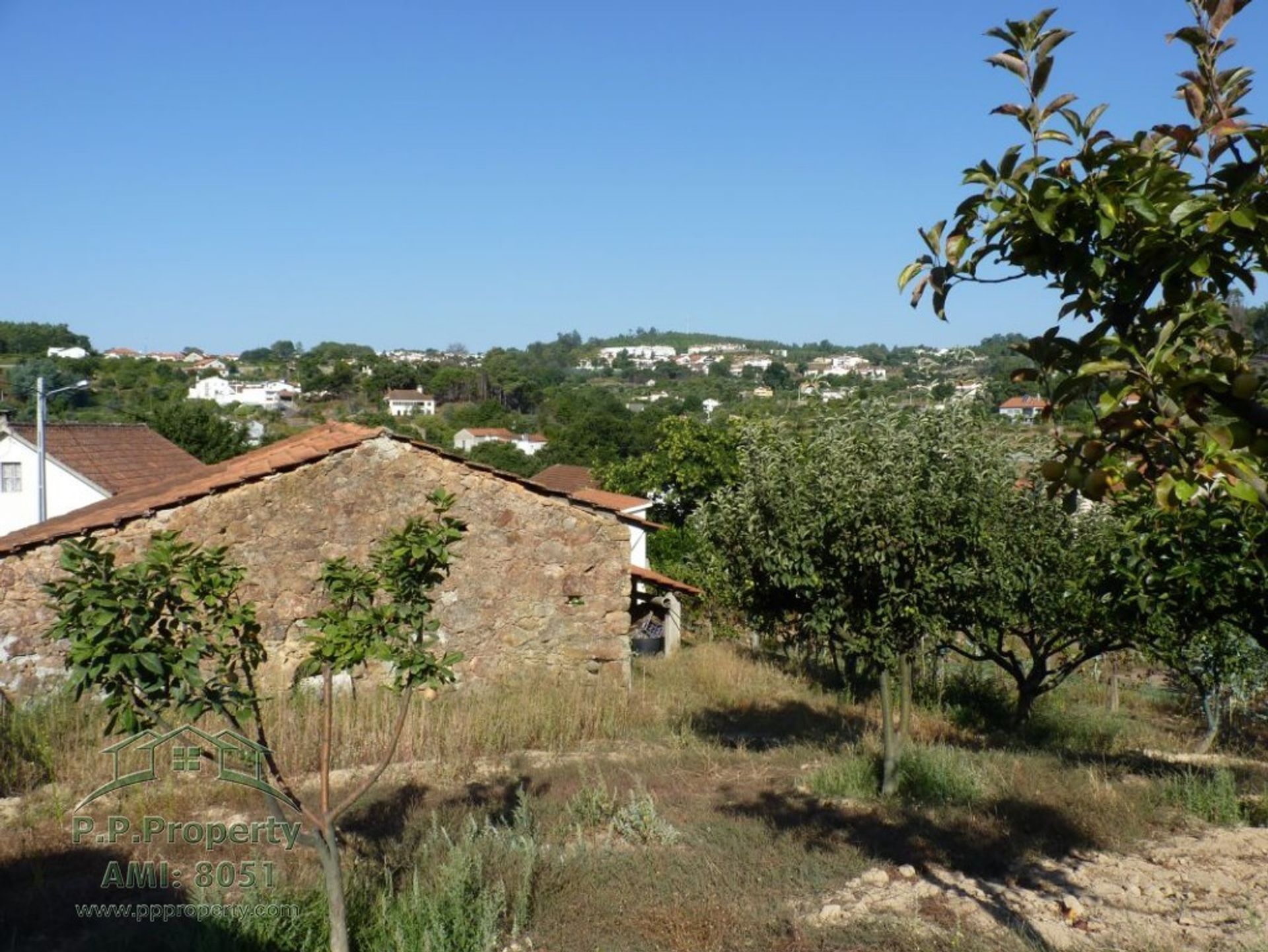 Huis in Figueiro dos Vinhos, Leiria 10029270