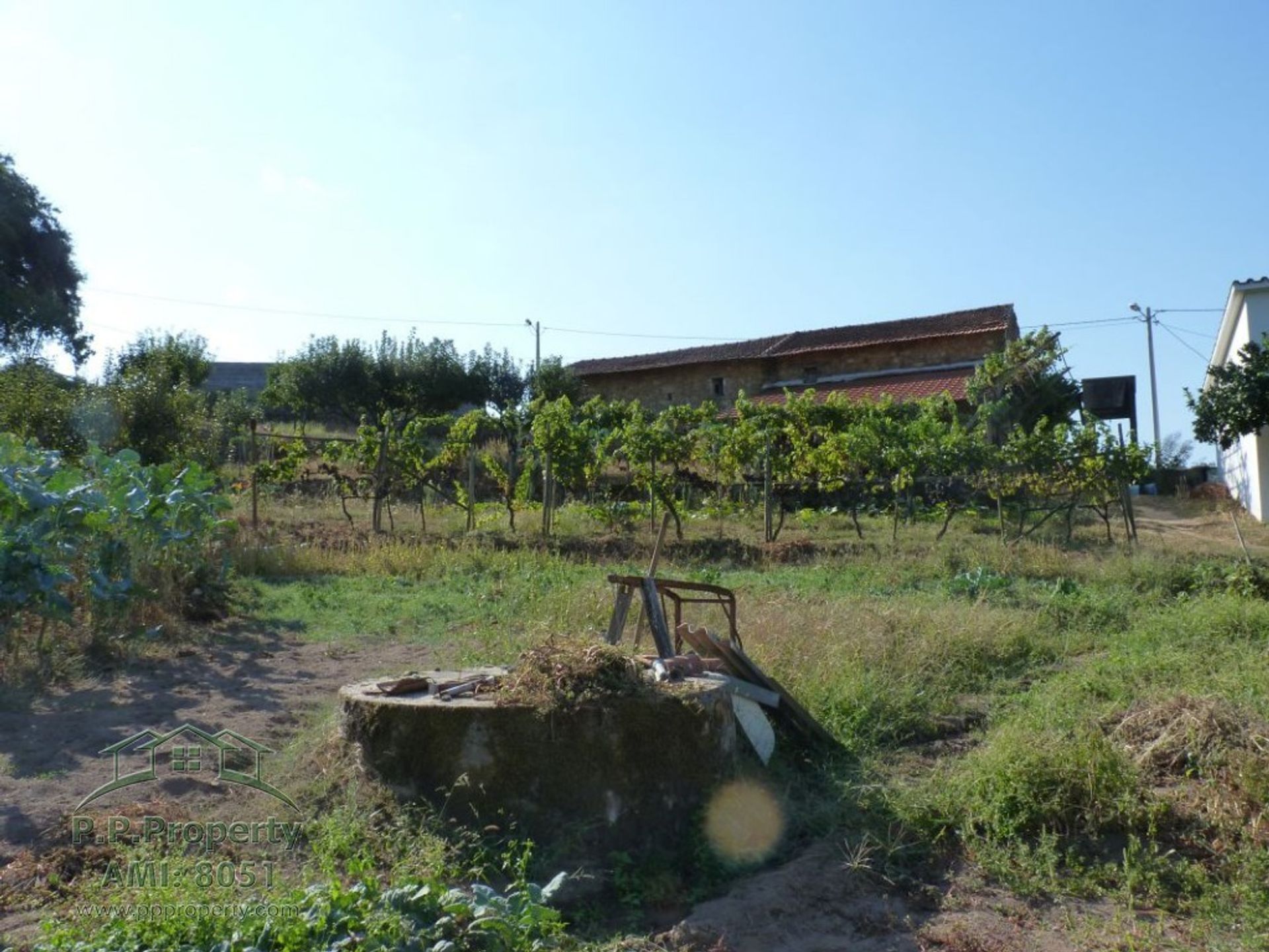 Huis in Figueiro dos Vinhos, Leiria 10029270