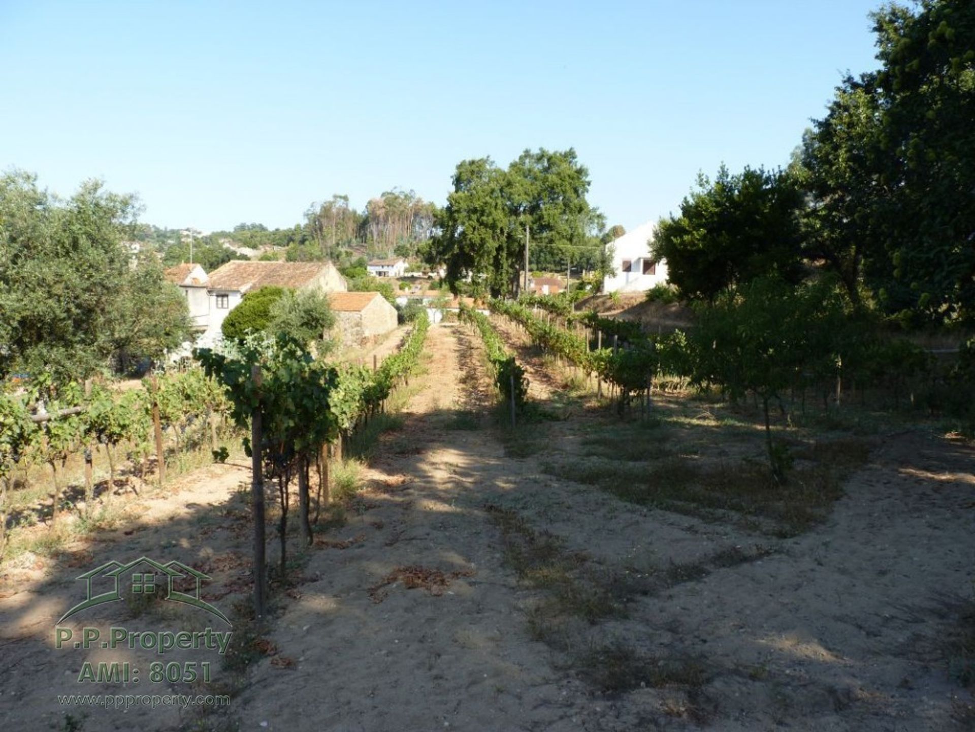 Huis in Figueiro dos Vinhos, Leiria 10029270