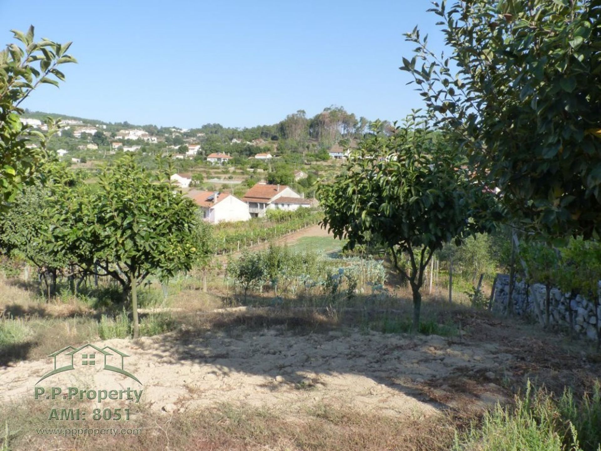 Huis in Figueiro dos Vinhos, Leiria 10029270