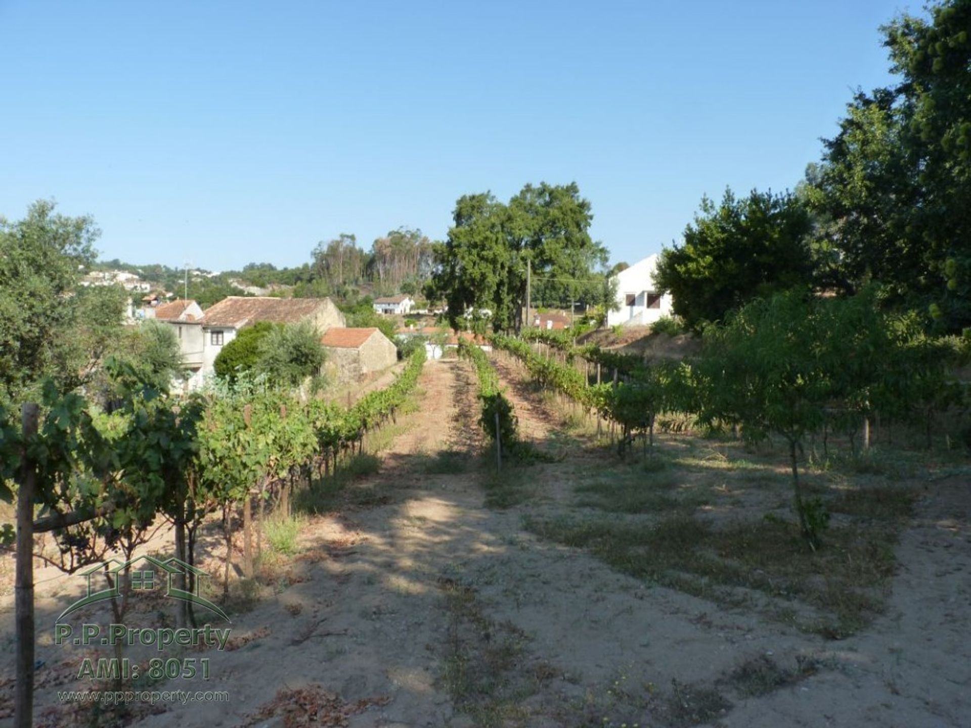 Huis in Figueiro dos Vinhos, Leiria 10029270