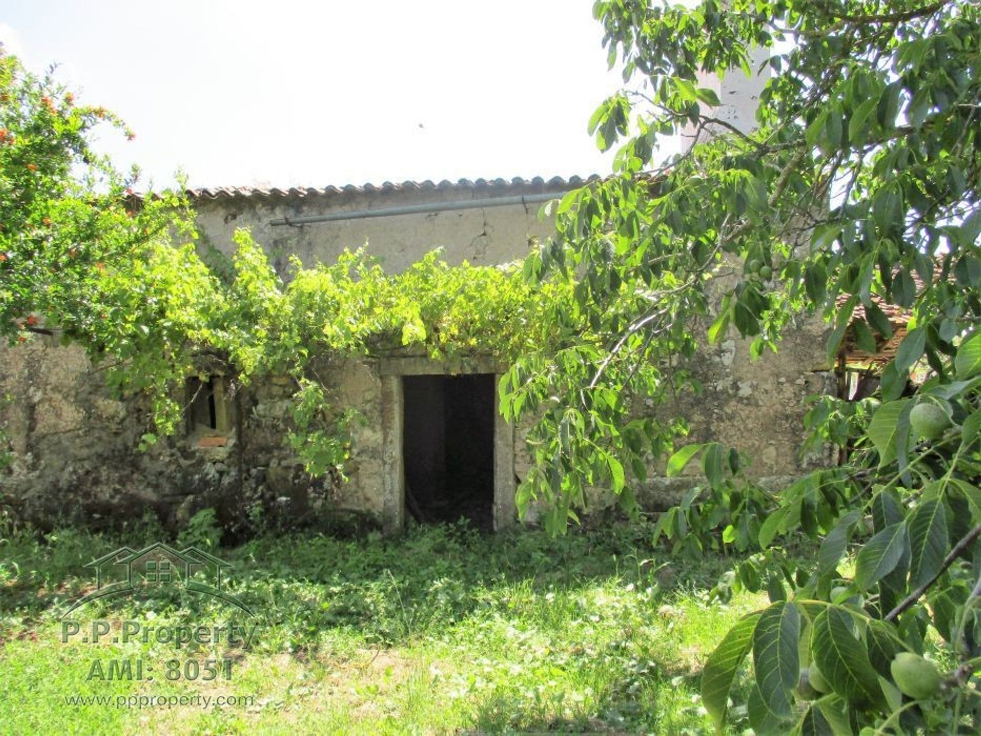 casa en Ferreira do Zézere, Santarém 10029278