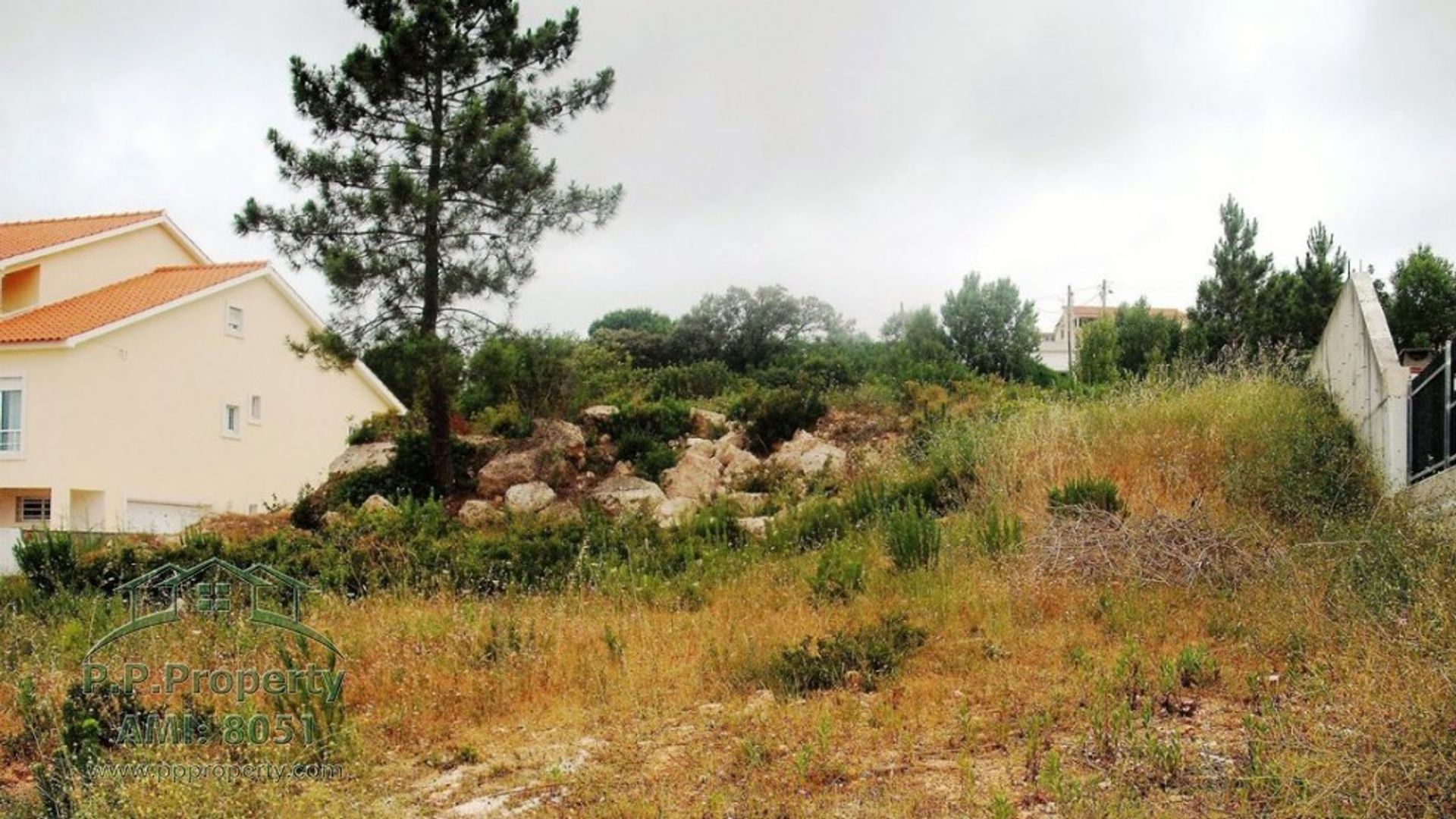 Land in Palhava, Santarem 10029279