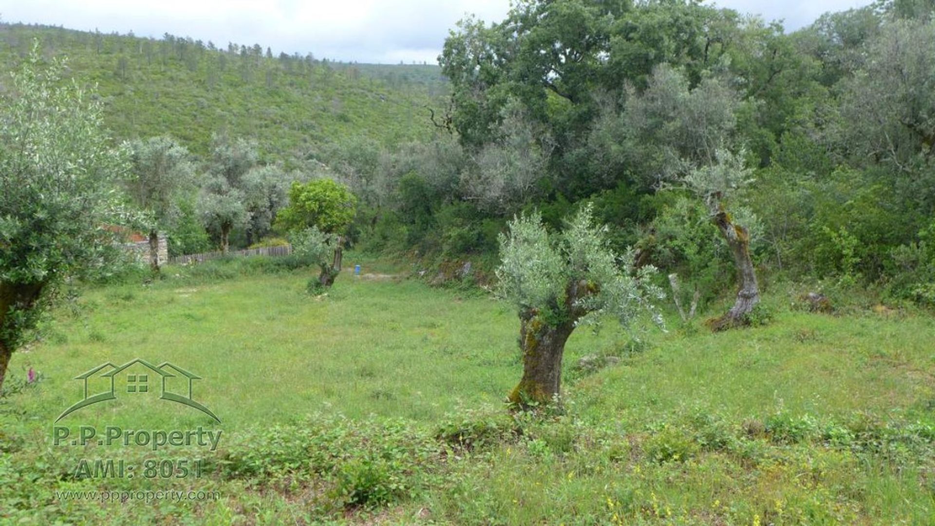 σπίτι σε Alvaiazere, Leiria 10029281