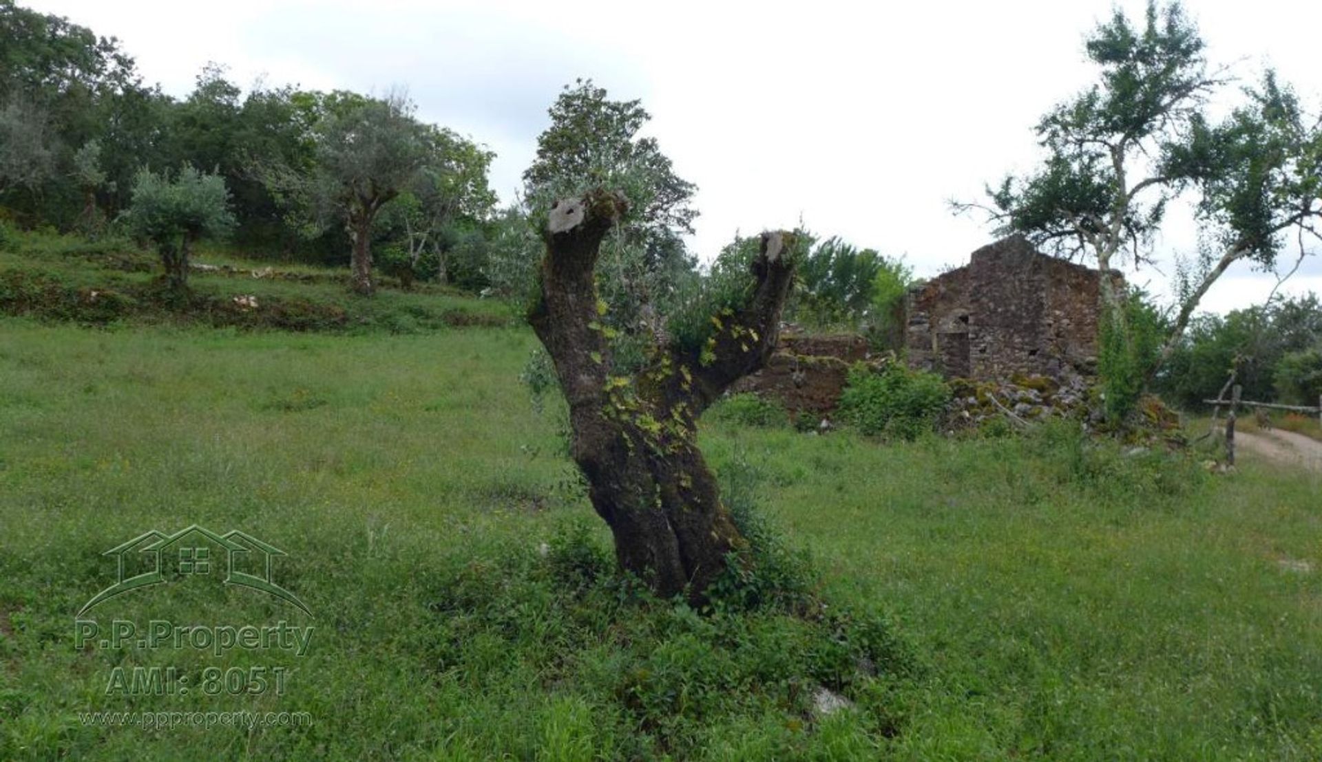 σπίτι σε Alvaiazere, Leiria 10029281