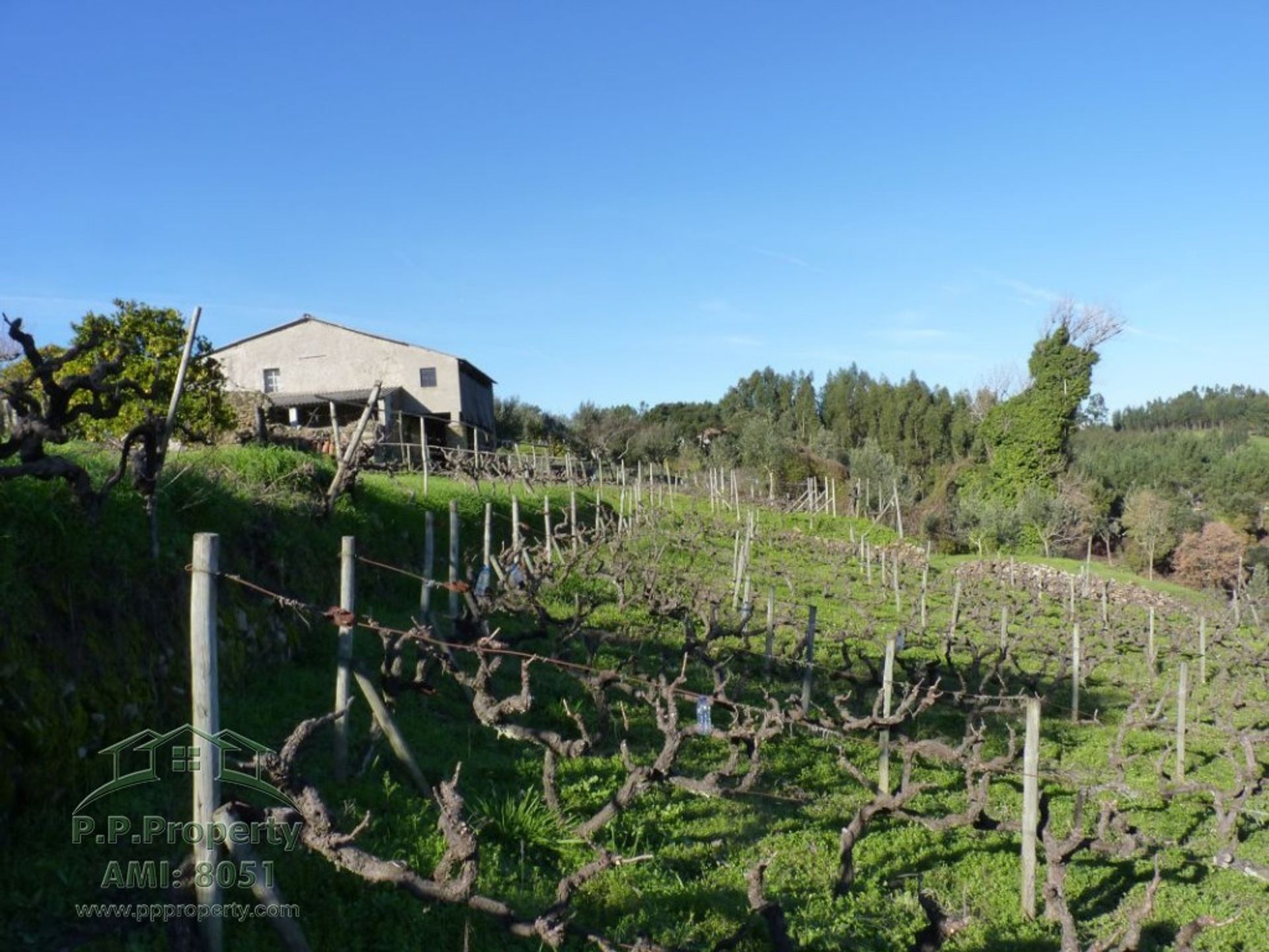 房子 在 Figueiro dos Vinhos, Leiria 10029285