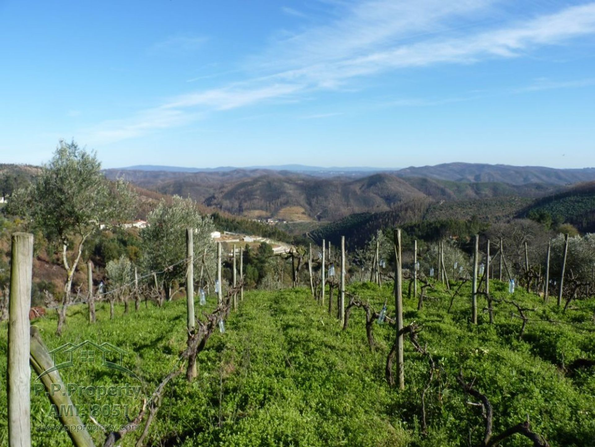 房子 在 Figueiro dos Vinhos, Leiria 10029285