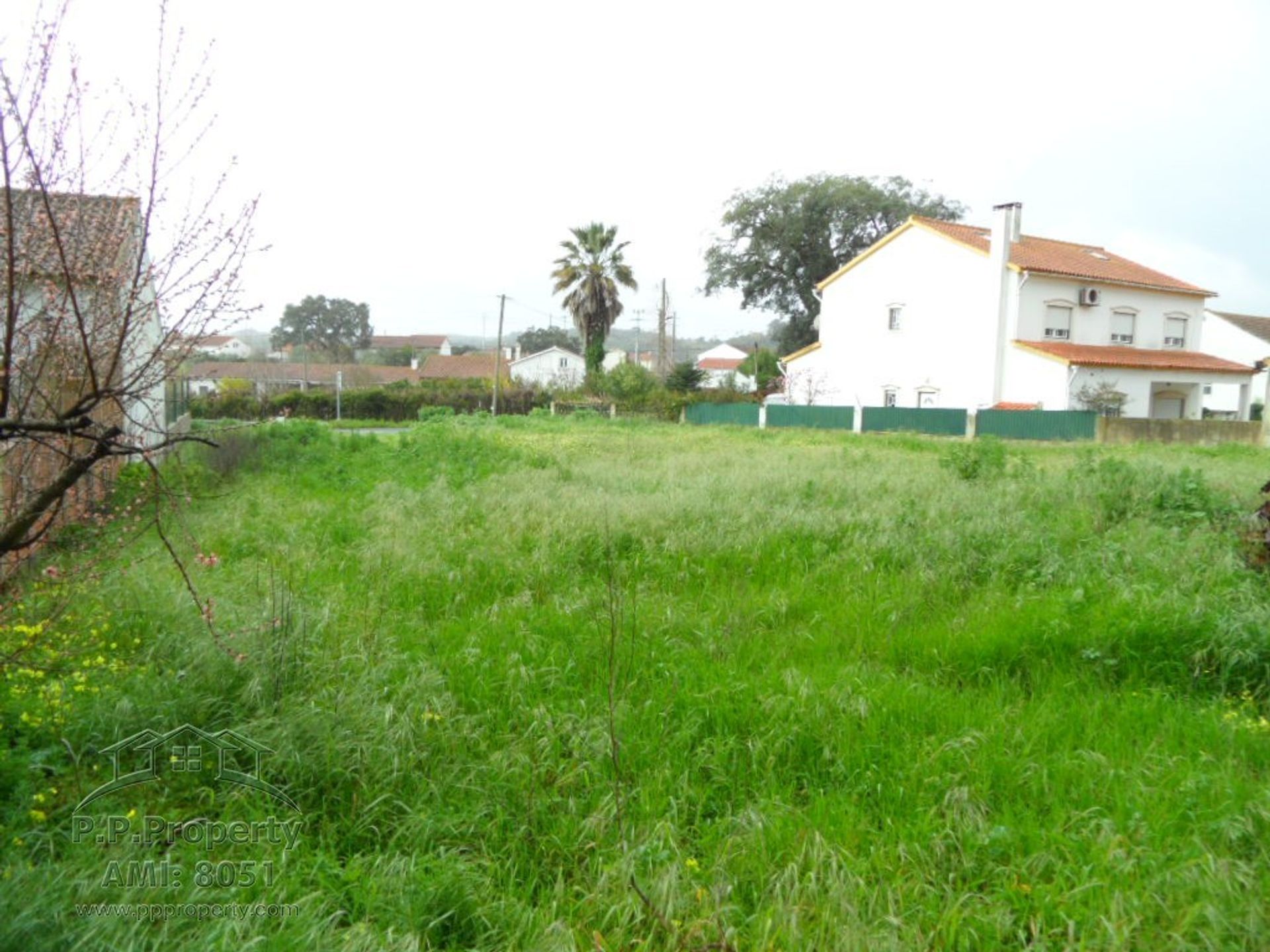 Land in Rio Maior, Santarem 10029286