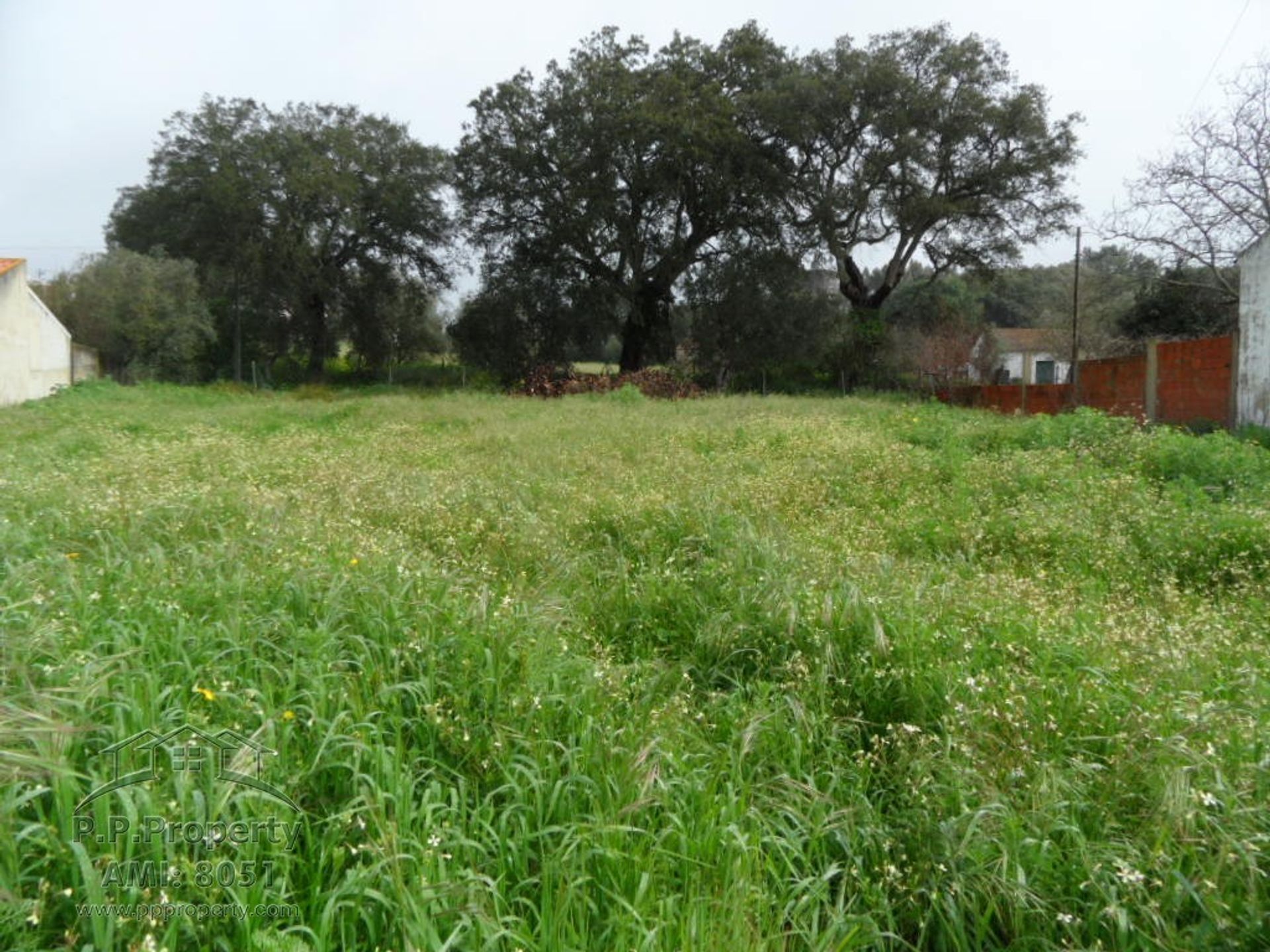 Terra no Rio Maior, Santarem 10029286