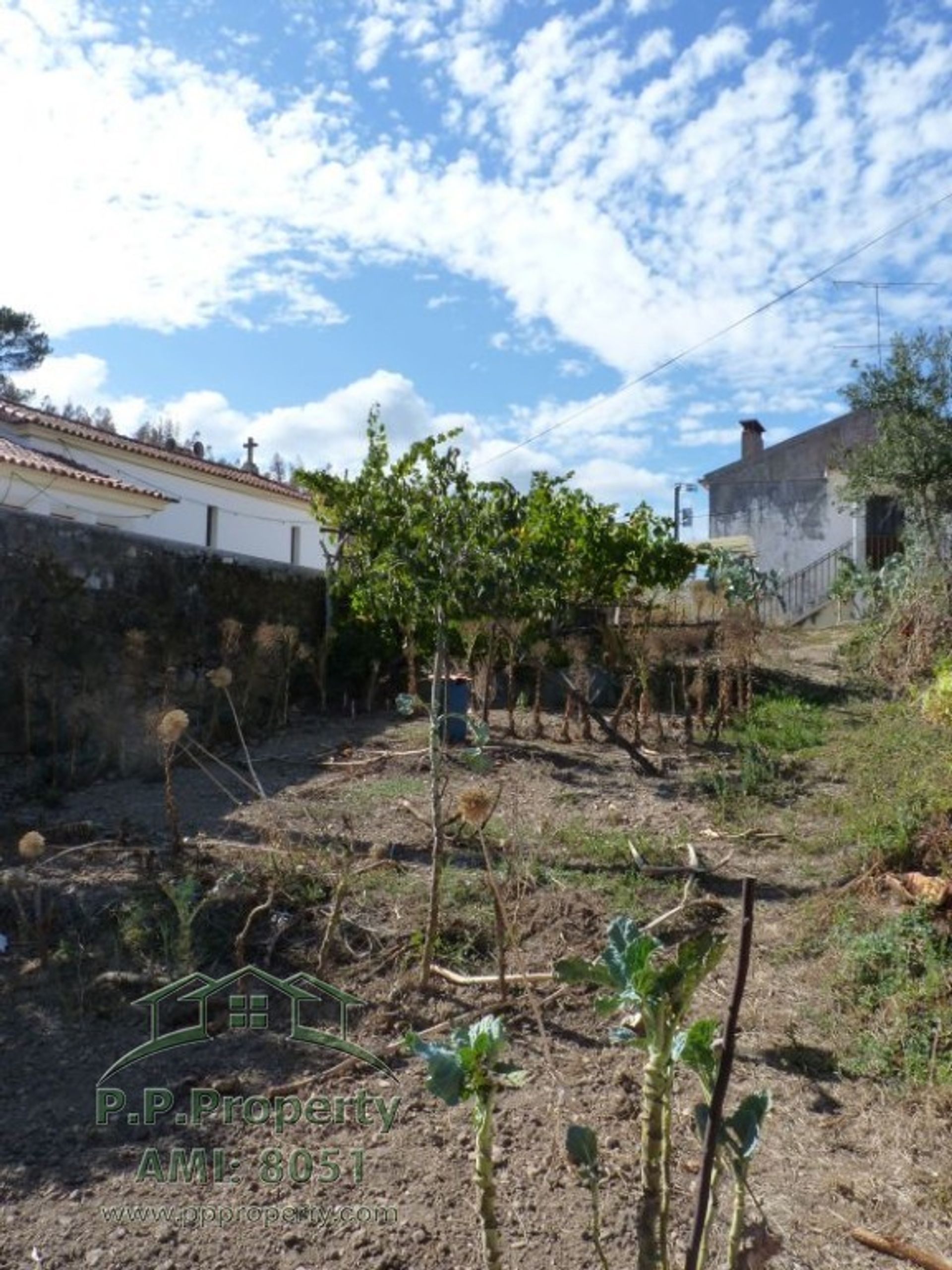 Haus im Figueiro dos Vinhos, Leiria 10029289