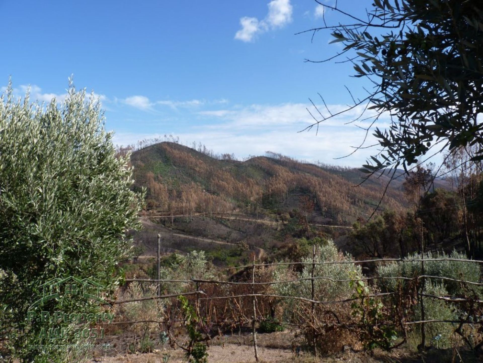 loger dans Figueiro dos Vinhos, Leiria 10029289