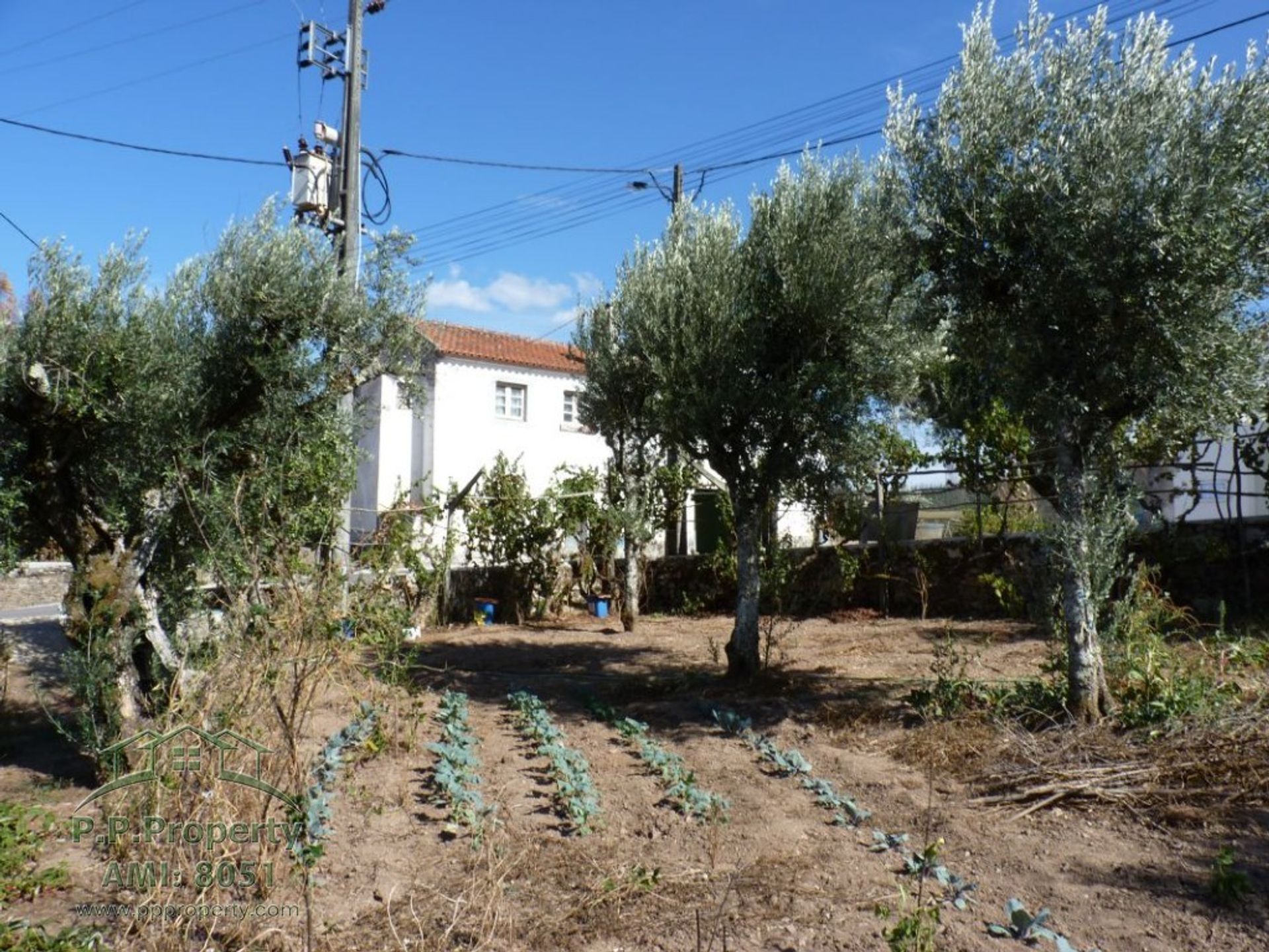 Haus im Figueiro dos Vinhos, Leiria 10029289