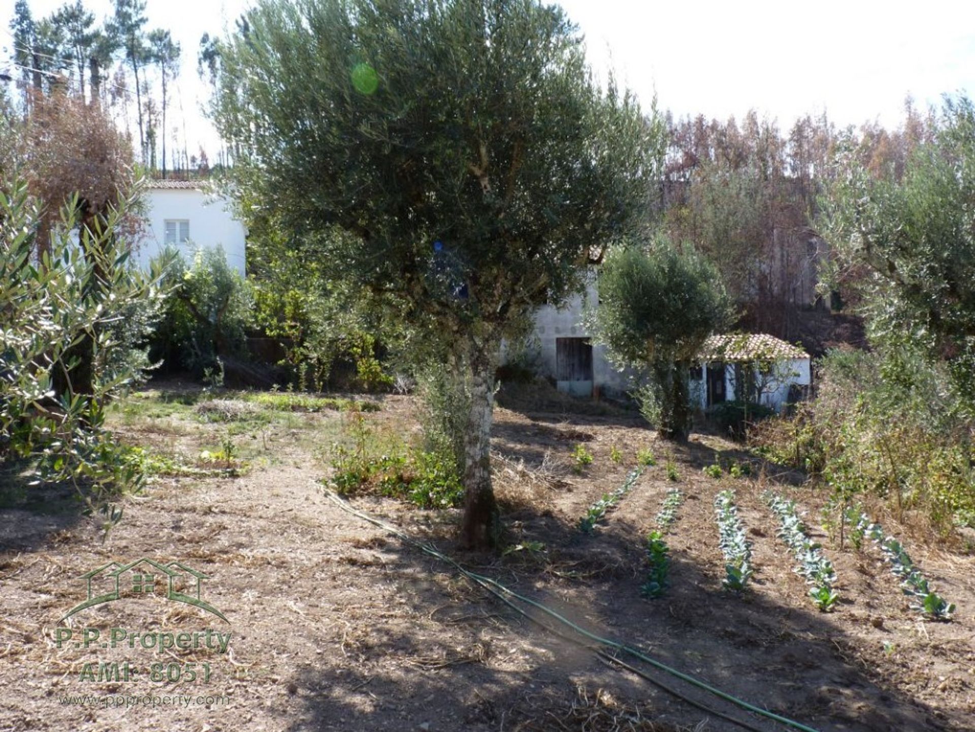 Haus im Figueiro dos Vinhos, Leiria 10029289