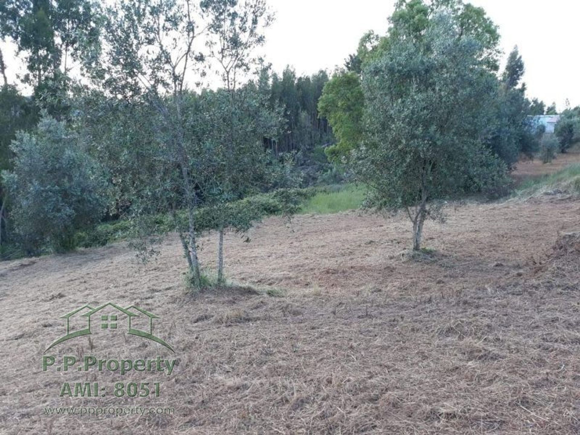 Tierra en Ferreira do Zézere, Santarém 10029290