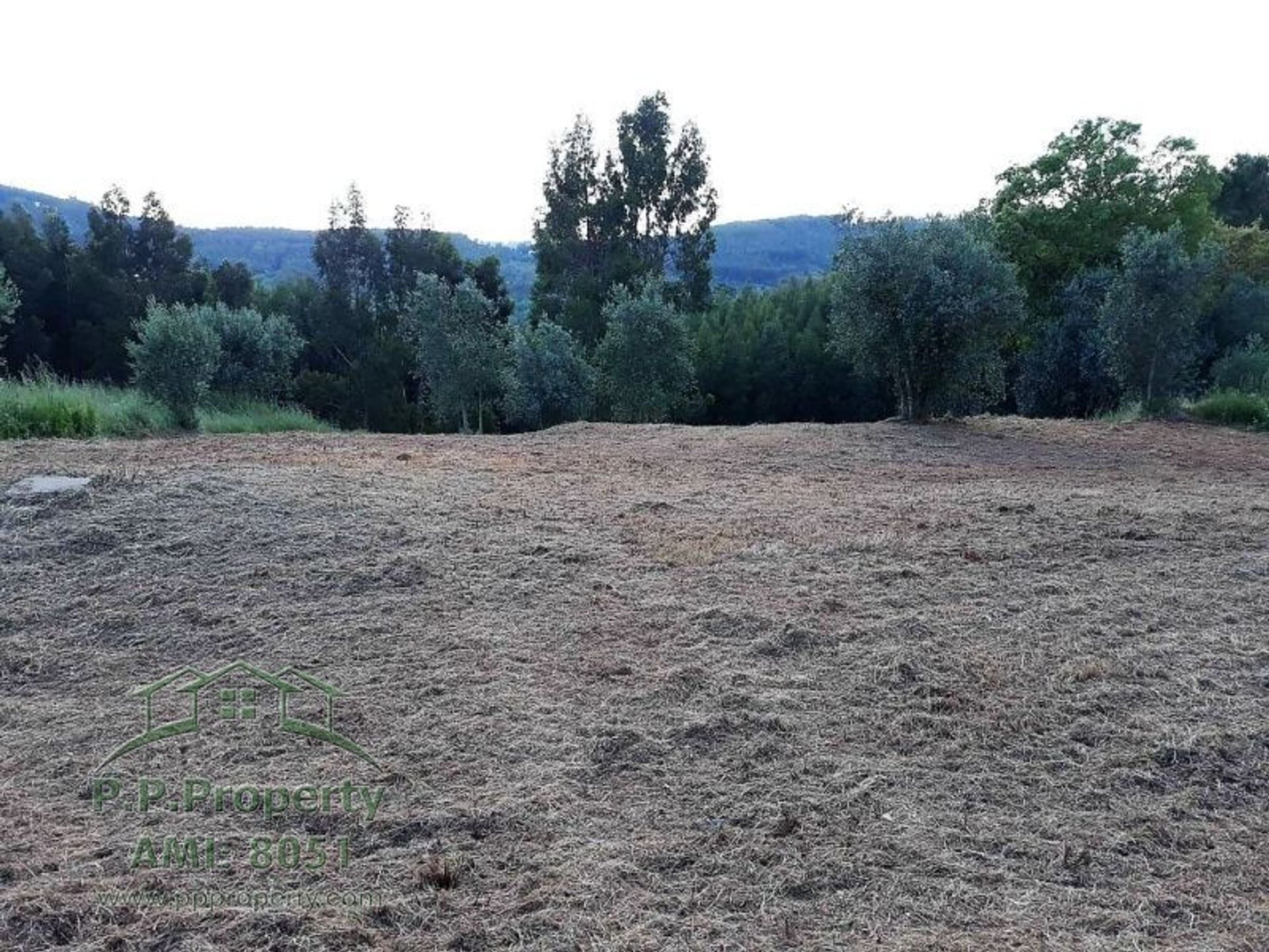 Tierra en Ferreira do Zézere, Santarém 10029290