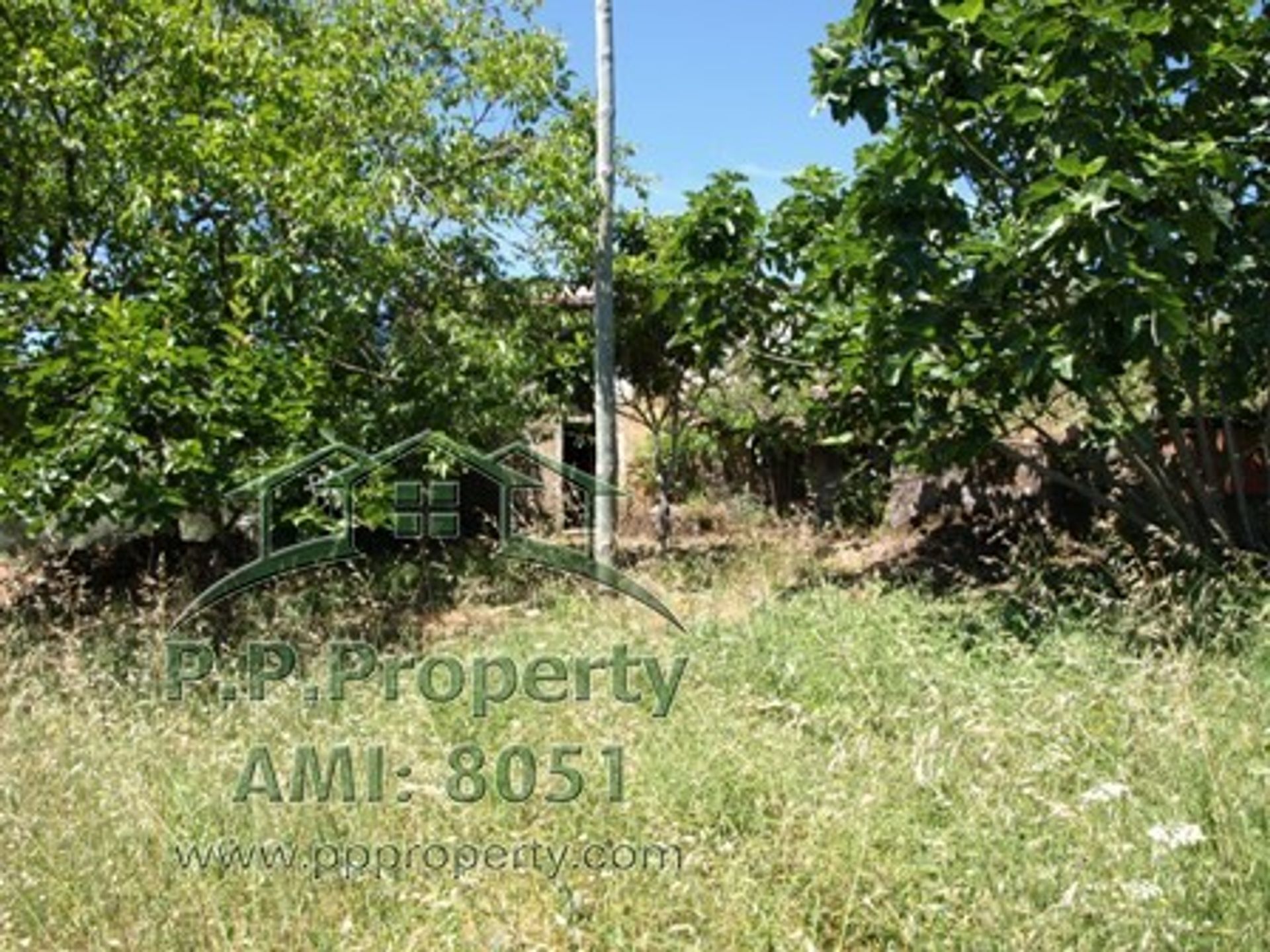 Land in Ansiao, Leiria 10029299