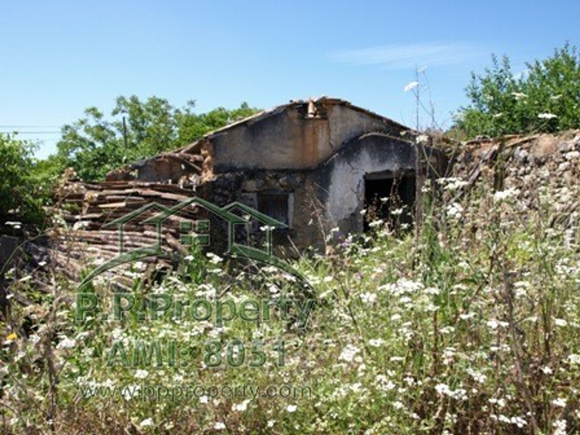 Tanah di Ansiao, Leiria 10029299