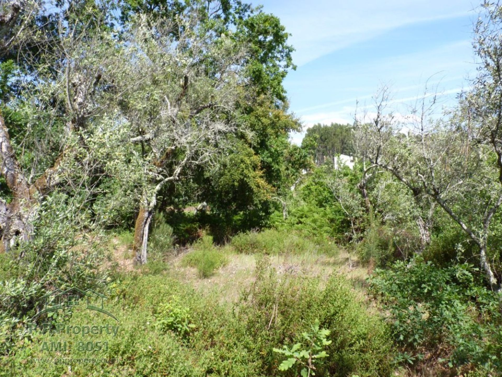 Tierra en Ribeira de São Pedro, Leiría 10029305