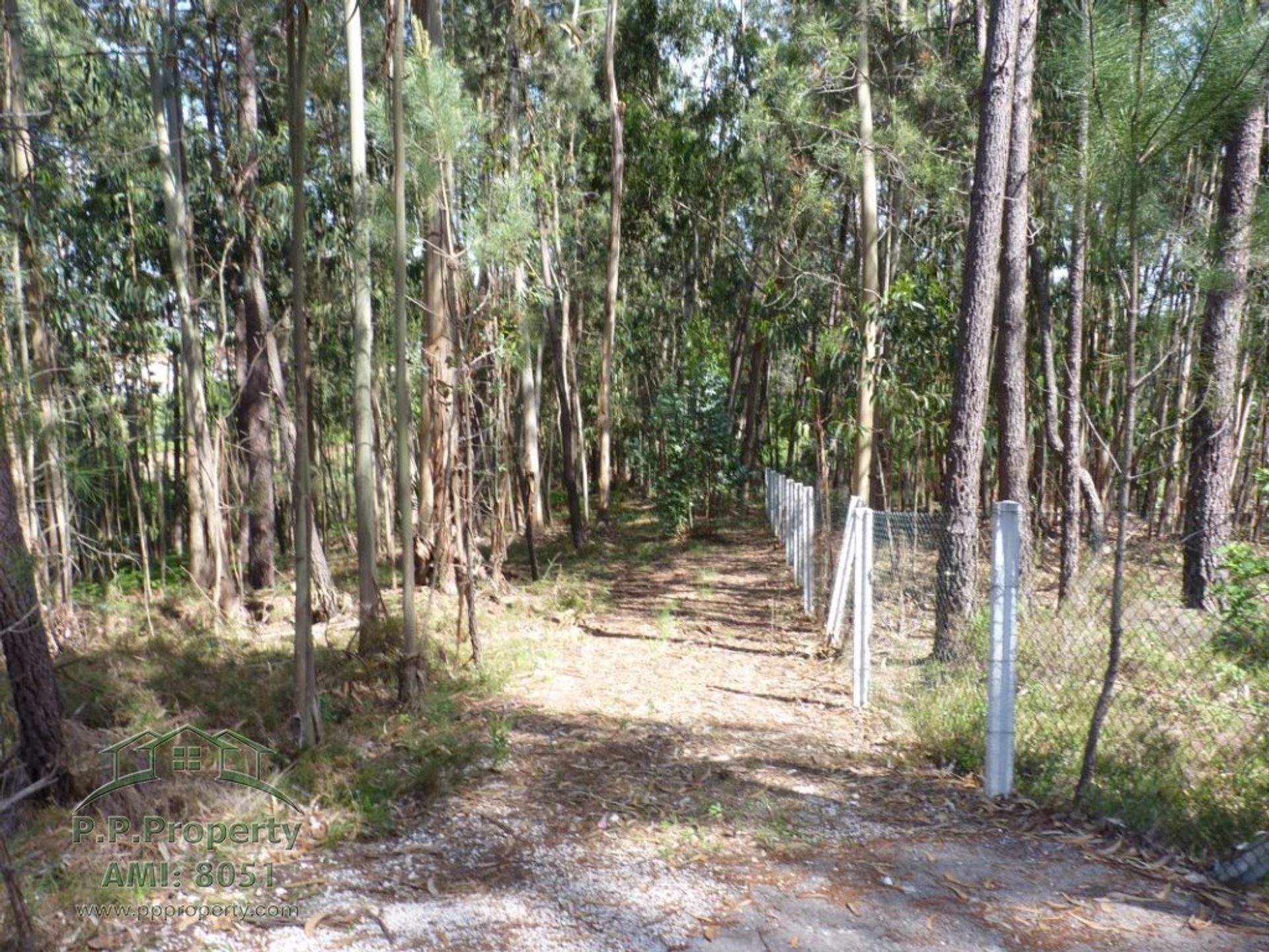 Terra no Figueiro dos Vinhos, Leiria 10029305