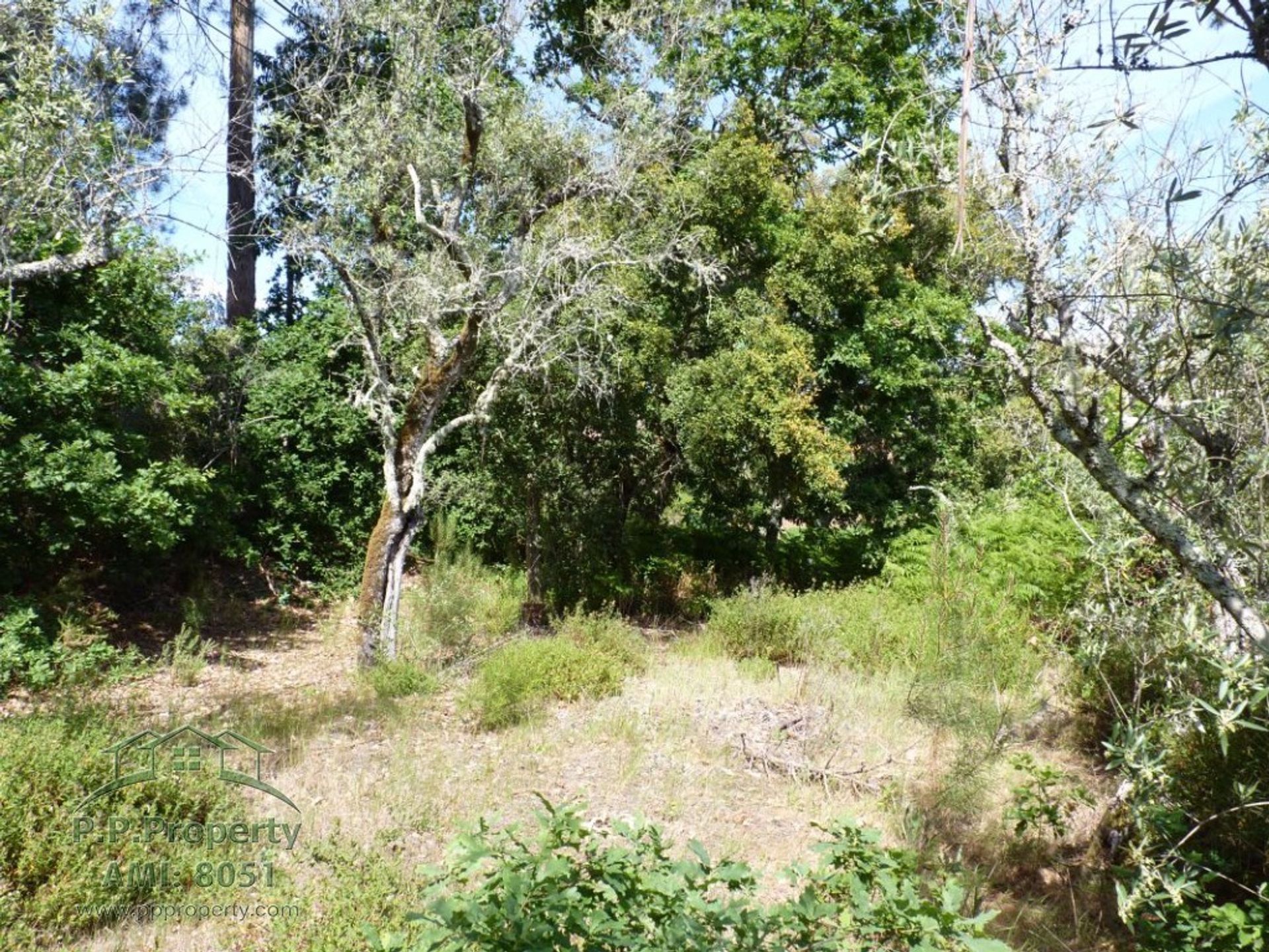 Tierra en Ribeira de São Pedro, Leiría 10029305