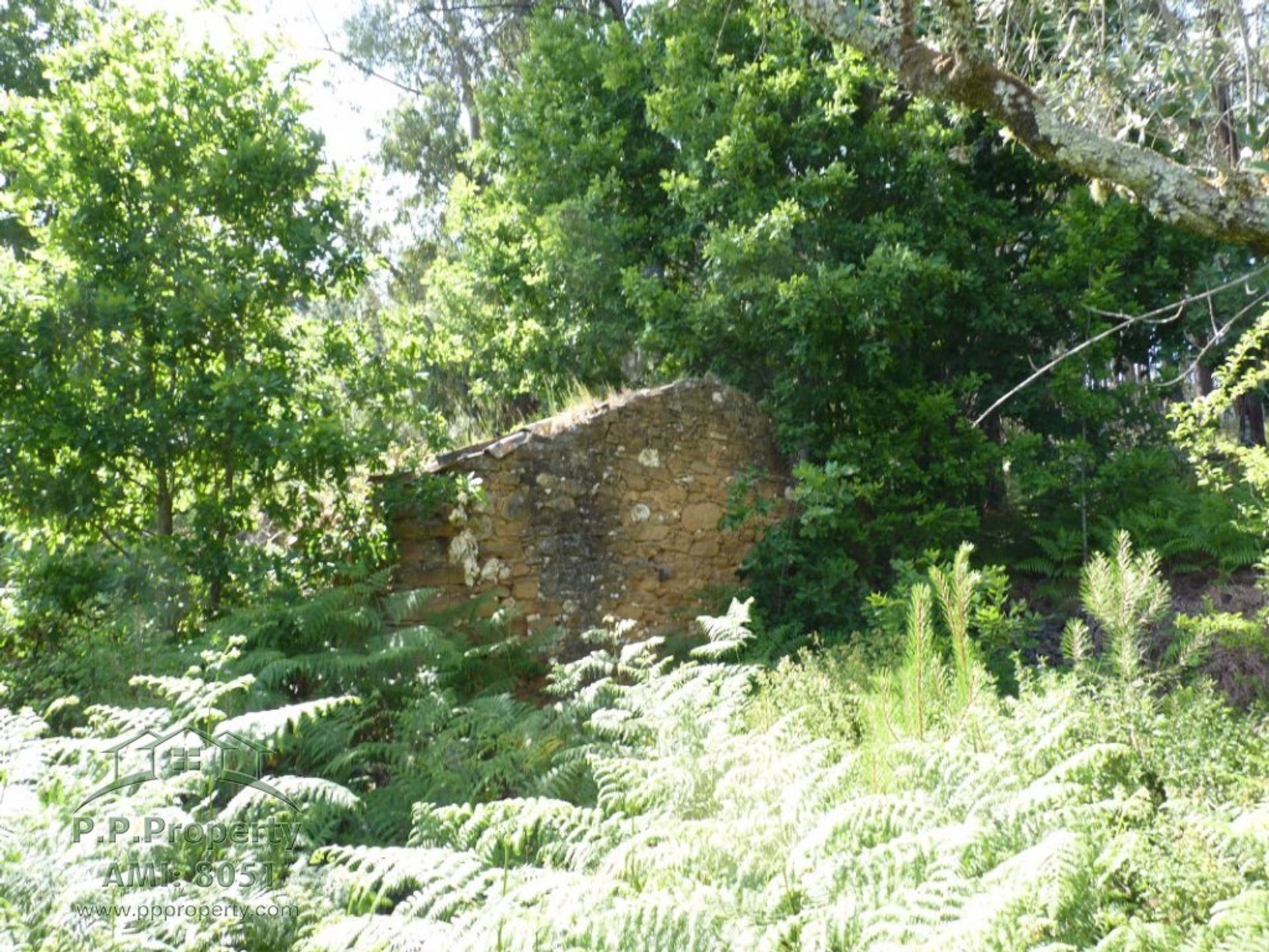 Tierra en Ribeira de São Pedro, Leiría 10029305