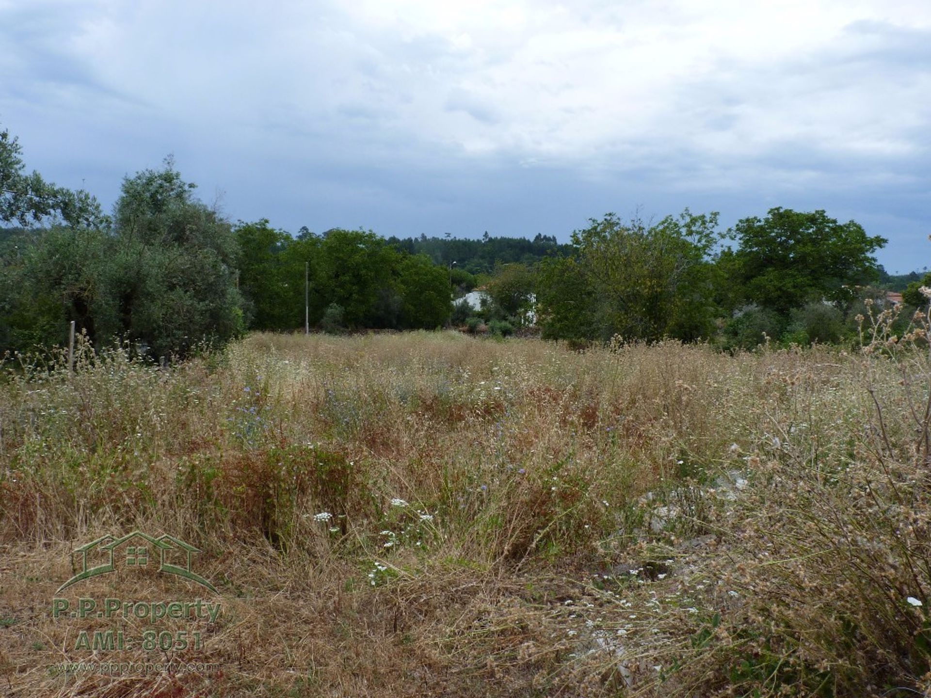 Tanah di Alvaiazere, Leiria 10029311