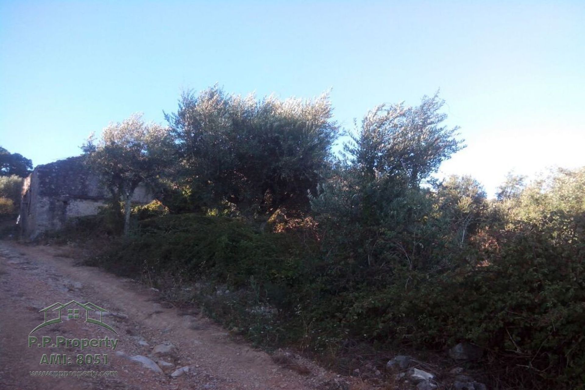 casa en Alvaiazere, Leiria 10029318