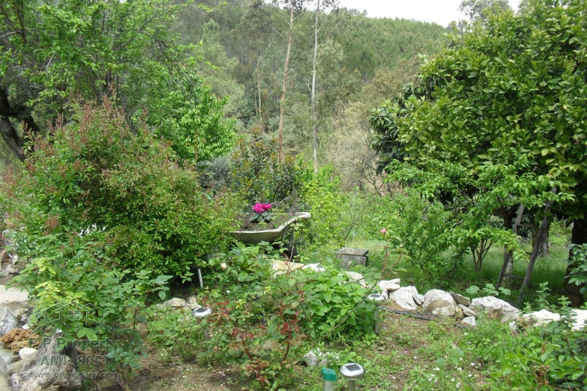 Casa nel Alvaiazere, Leiria 10029319