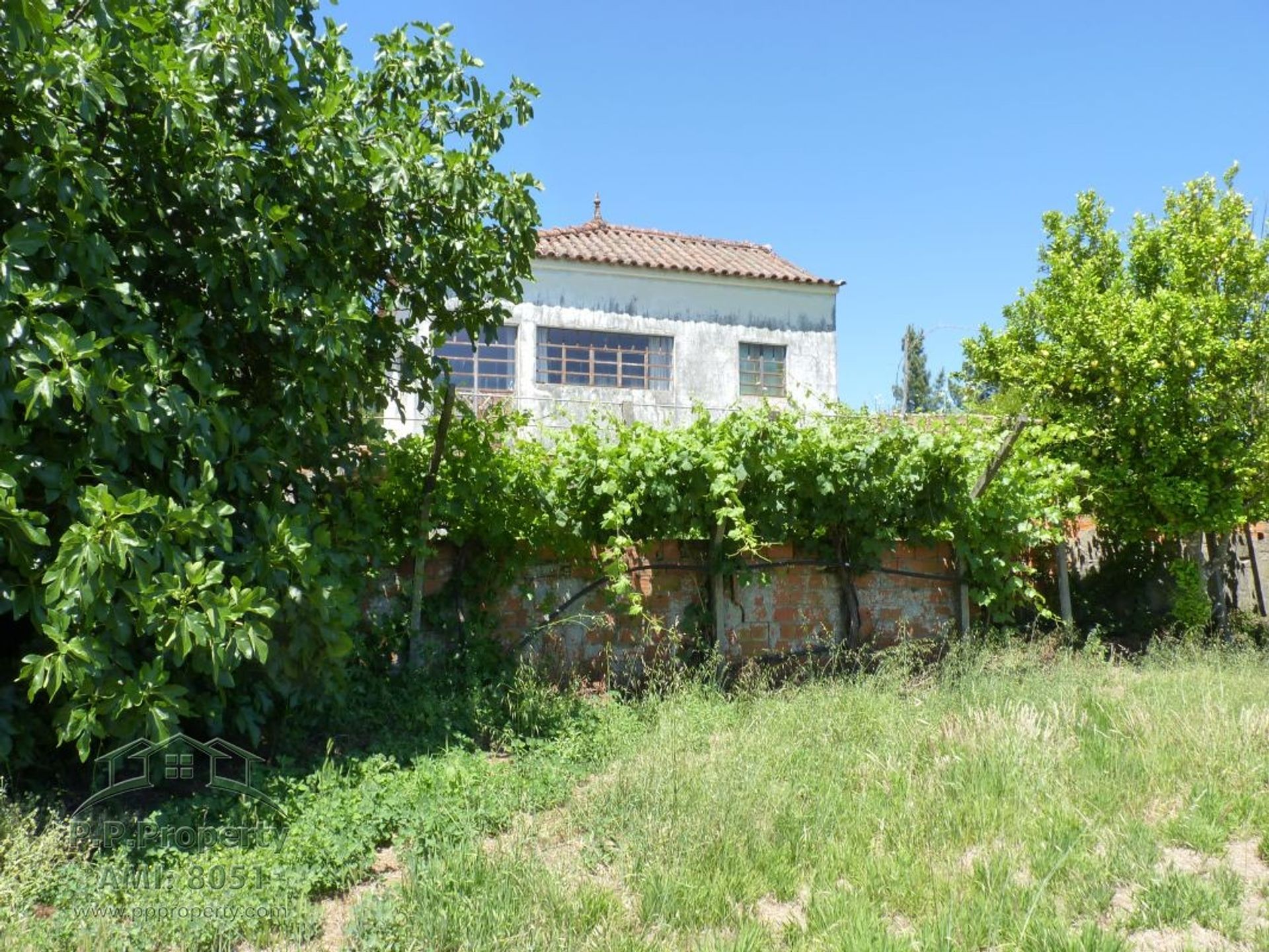 casa en Castelo Branco, Castelo Branco 10029323