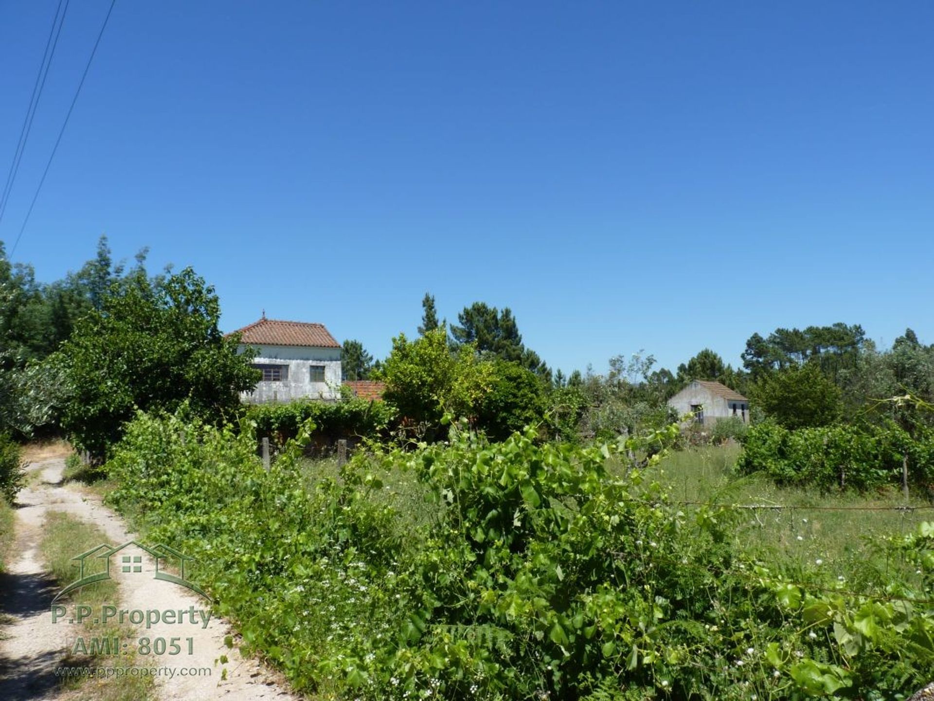 Rumah di Castelo Branco, Castelo Branco 10029323