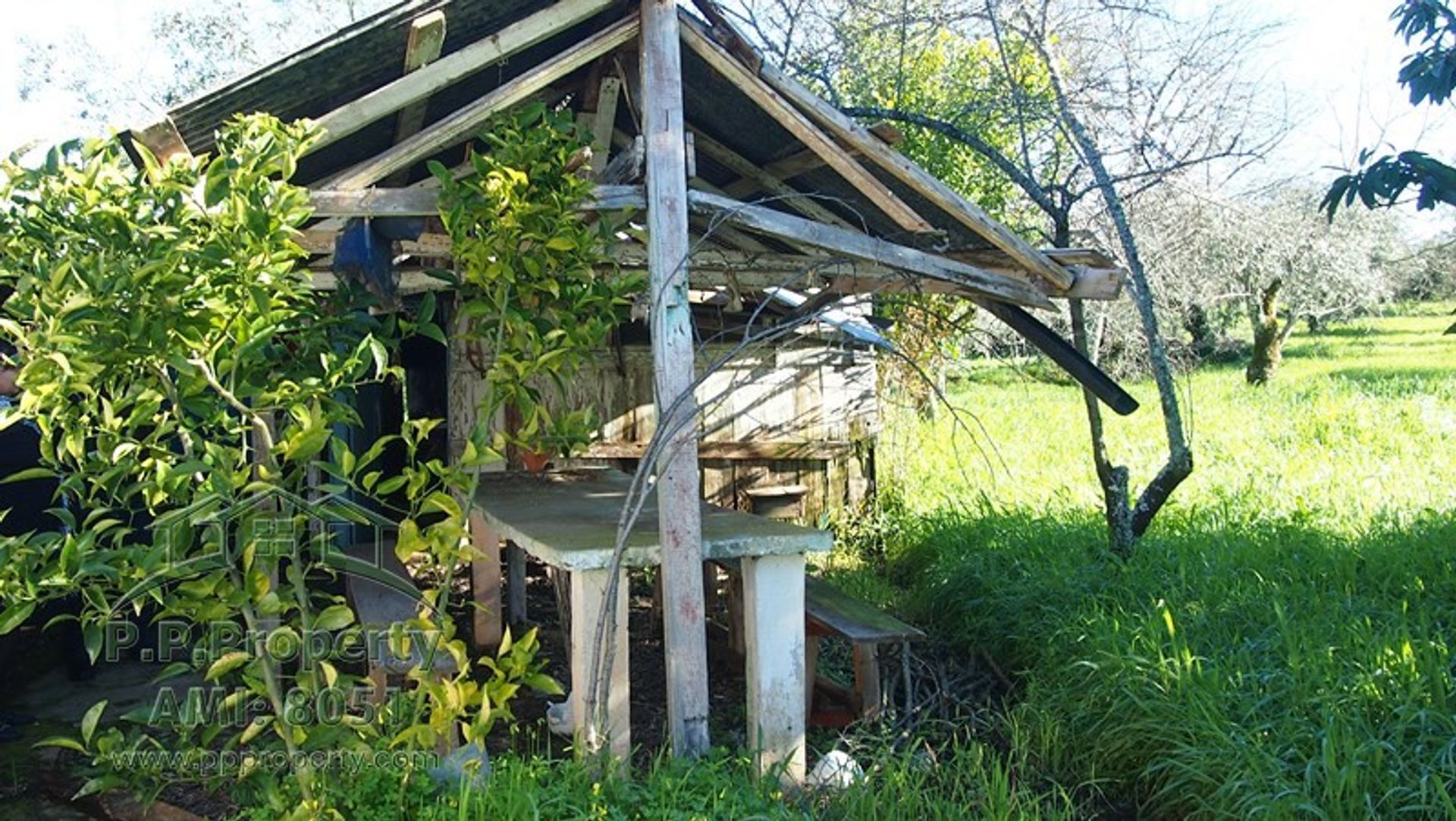 House in Alvaiazere, Leiria 10029332