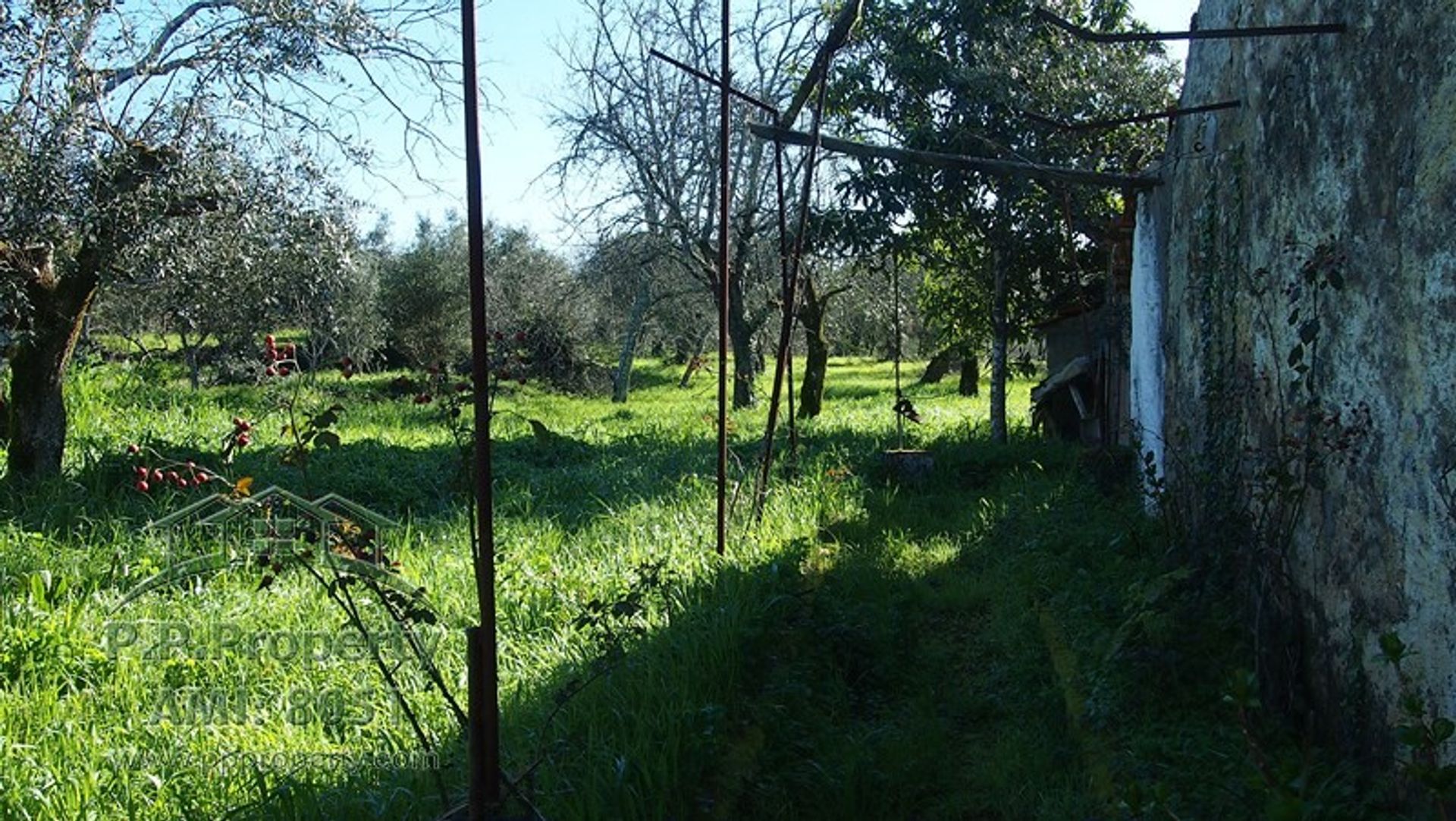 casa en Alvaiazere, Leiria 10029332