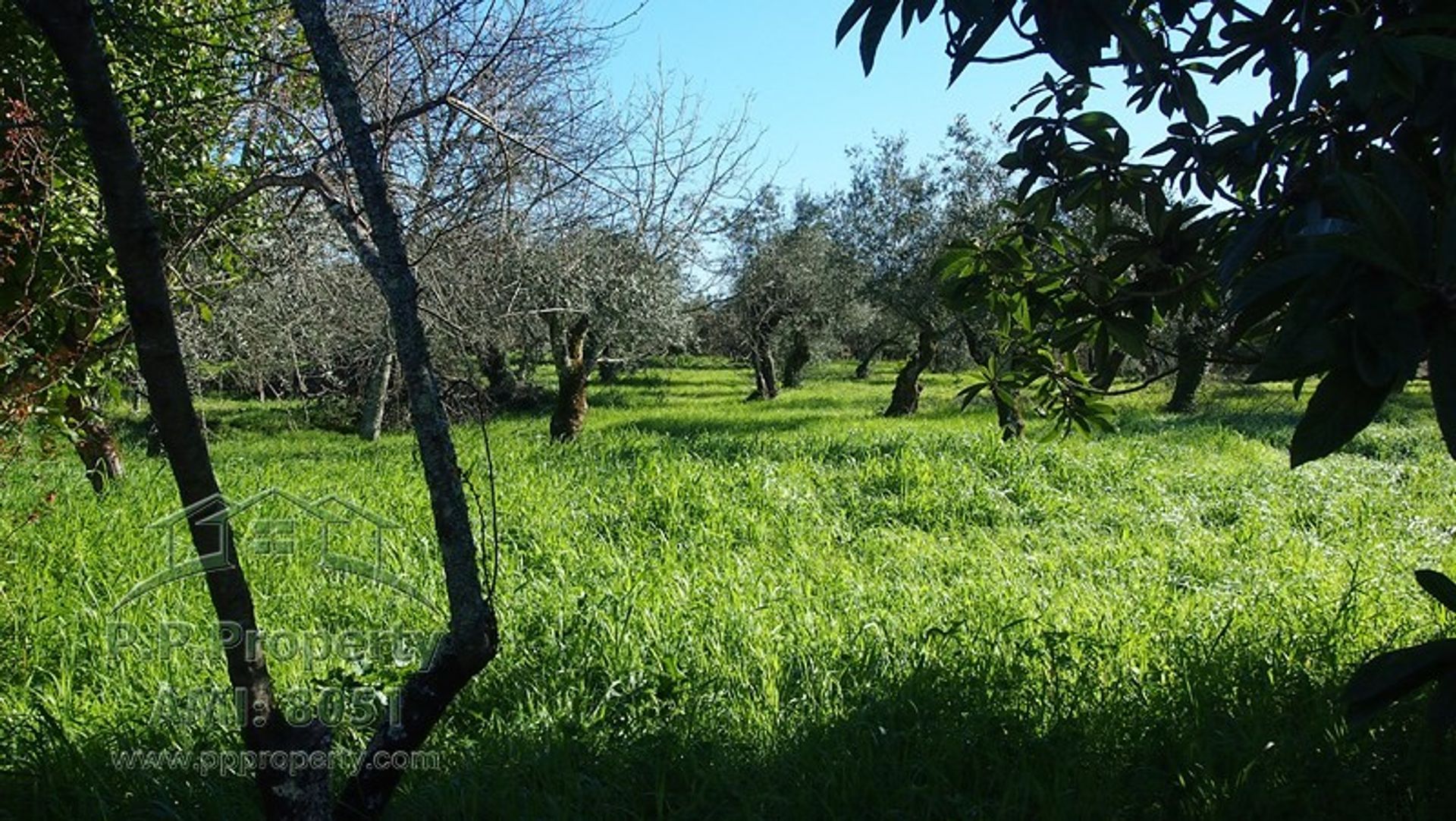 Huis in Alvaiazere, Leiria 10029332